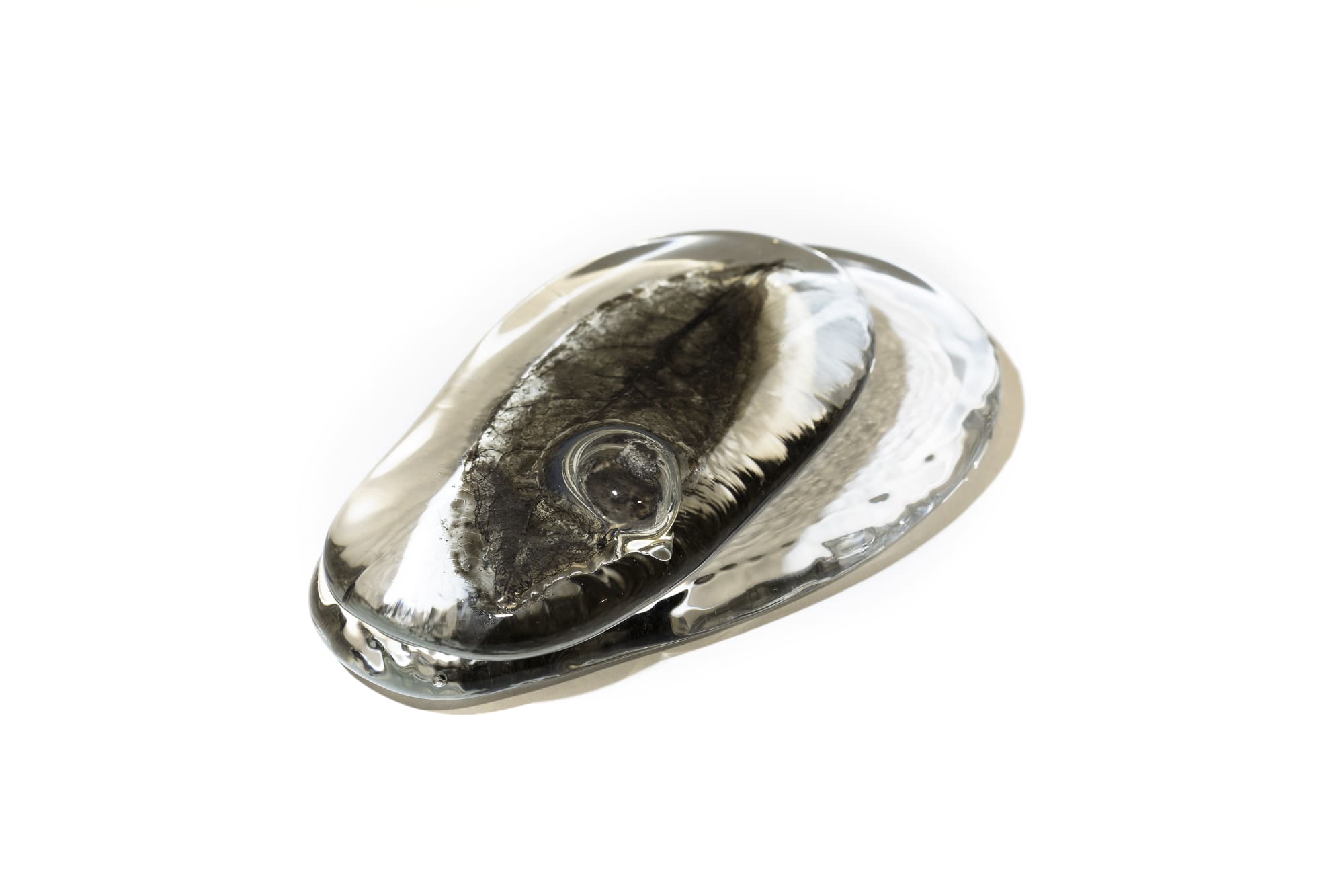 1900-2025: breath of light