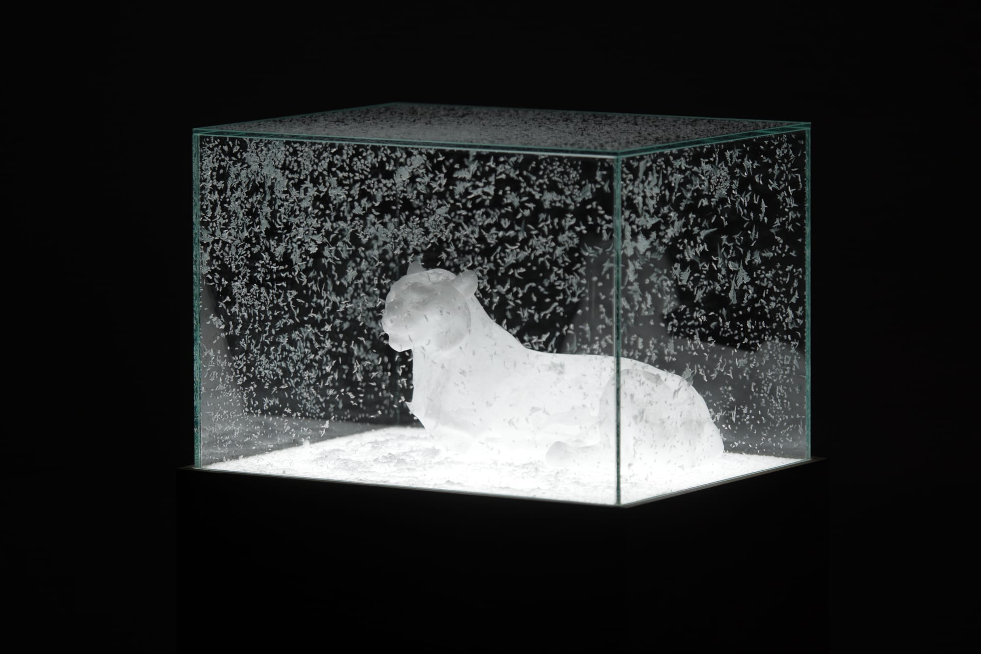 1900-2025: breath of light