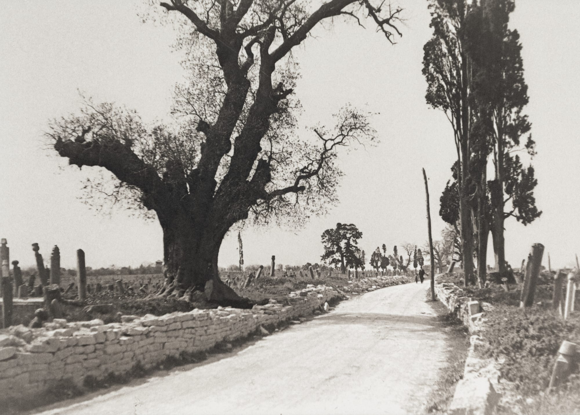 Avni Lifij Surdışı Mezarlık Surdışı Cemetery