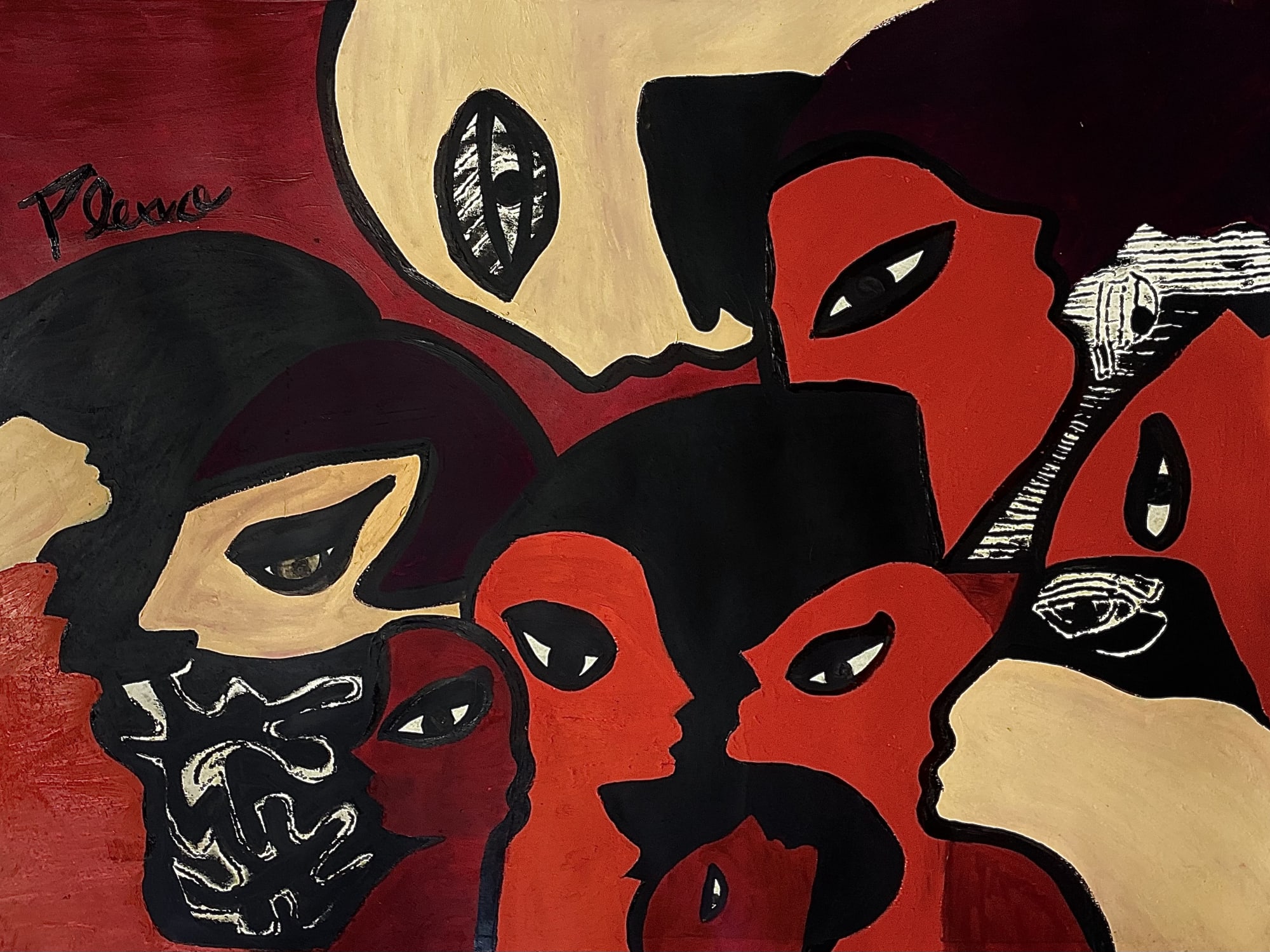 Juliana Plexxo: "Colores de Cotopaxi"