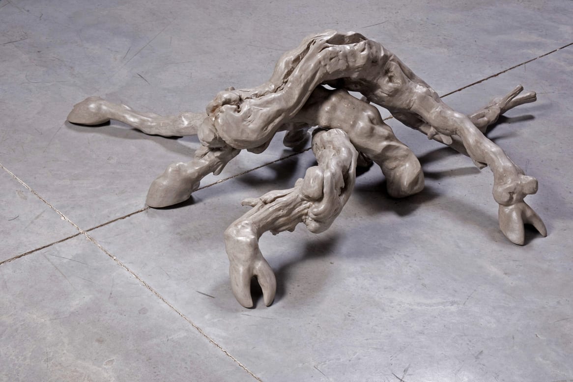 Geography of Salon by Sharon Glazberg