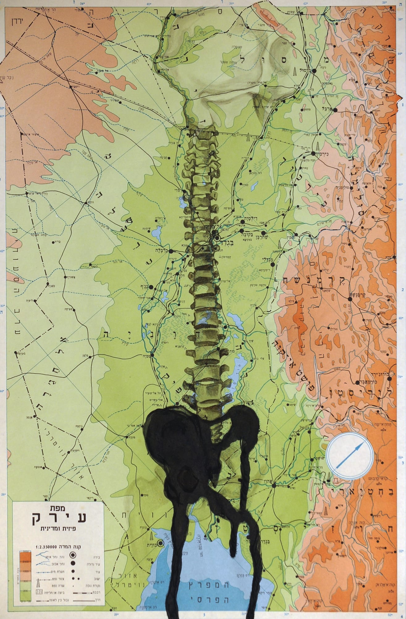 Geography of Salon by Sharon Glazberg