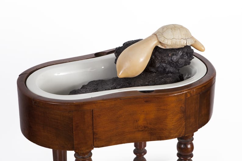 Geography of Salon by Sharon Glazberg