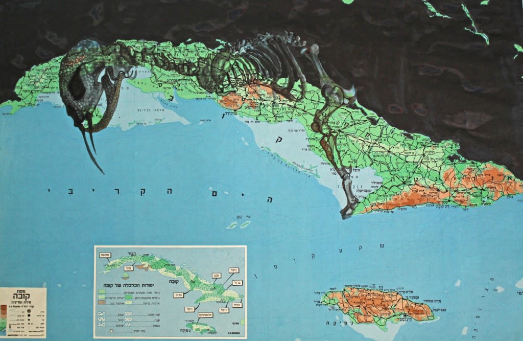 Geography of Salon by Sharon Glazberg