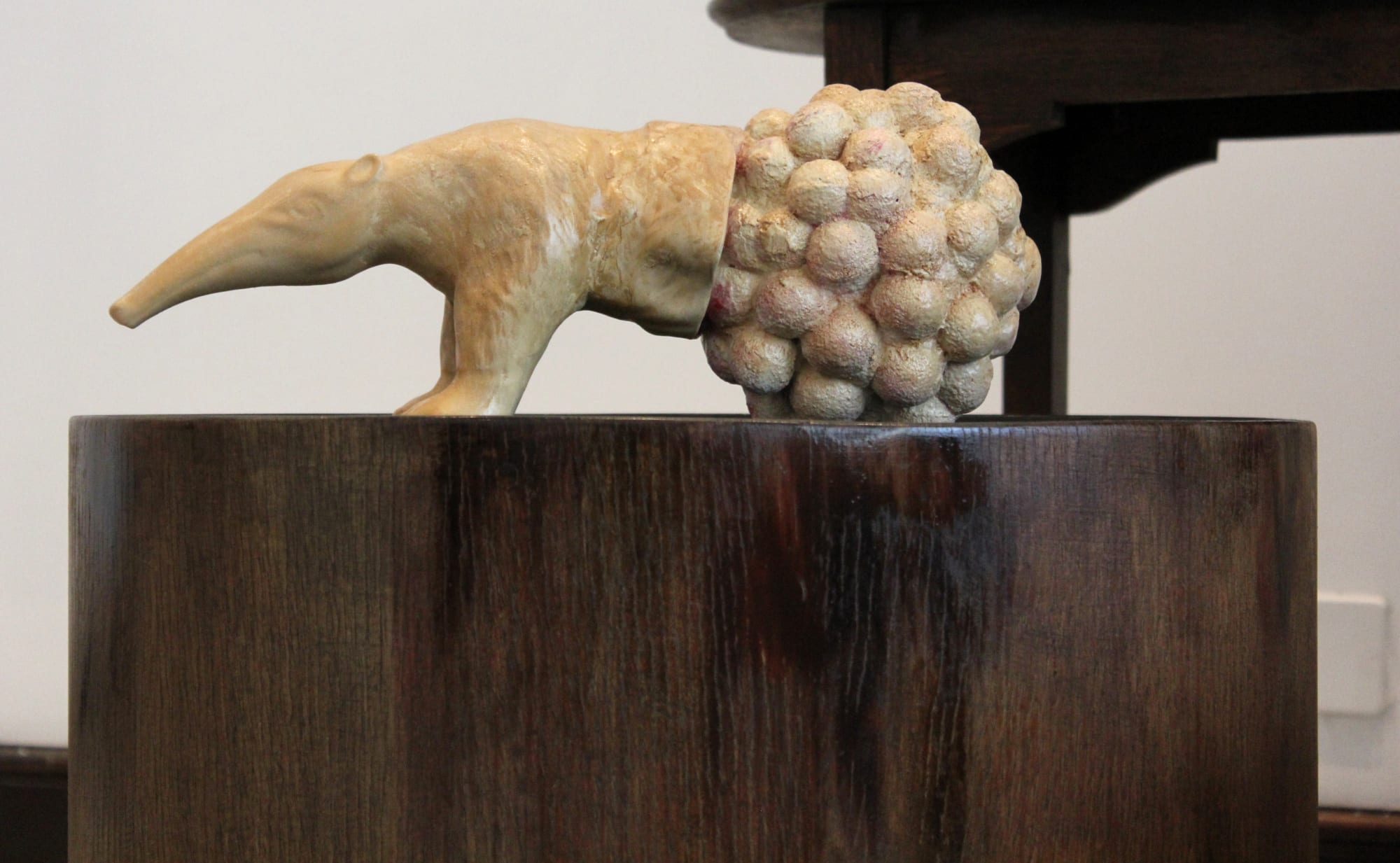 Geography of Salon by Sharon Glazberg