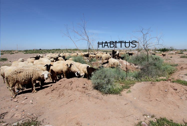 Agafay Desert Morocco 2018
