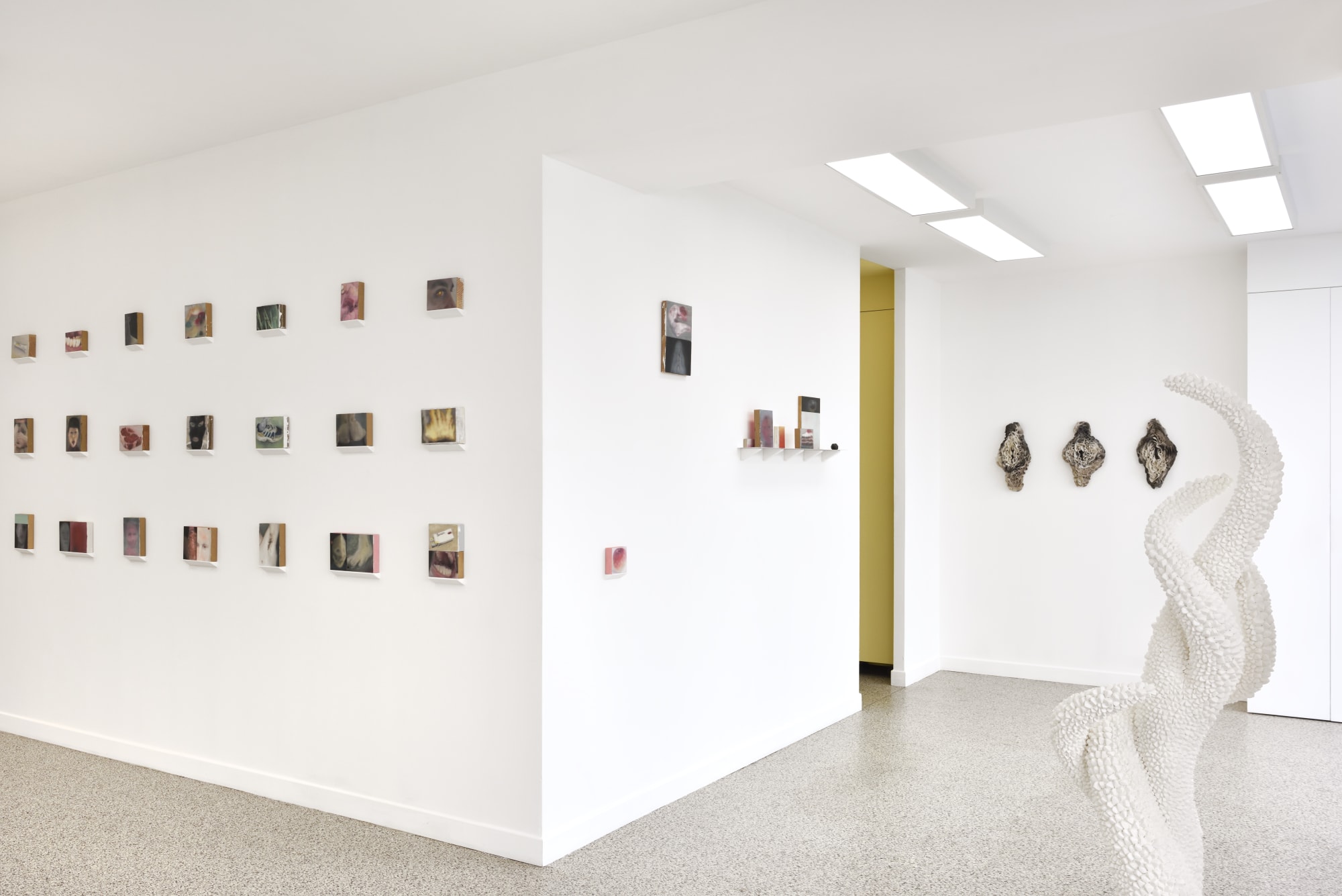 INDIA LEIRE / PEDRO OLIVEIRA