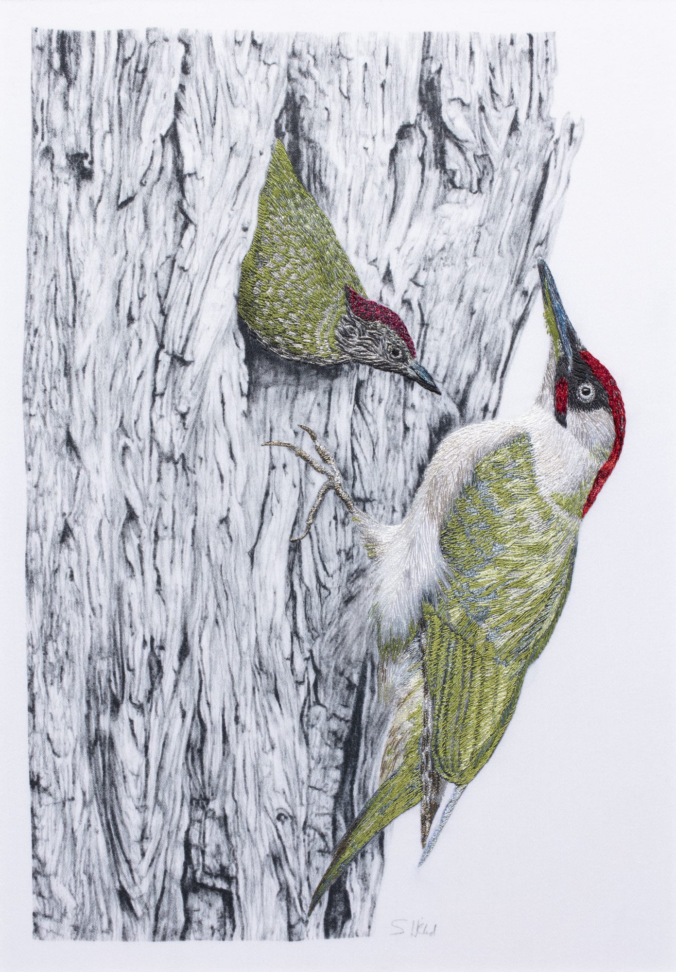 Susannah Weiland Bushy Woodpeckers Pencil drawing and hand embroidery 42.8 x 33.2cm £4,440