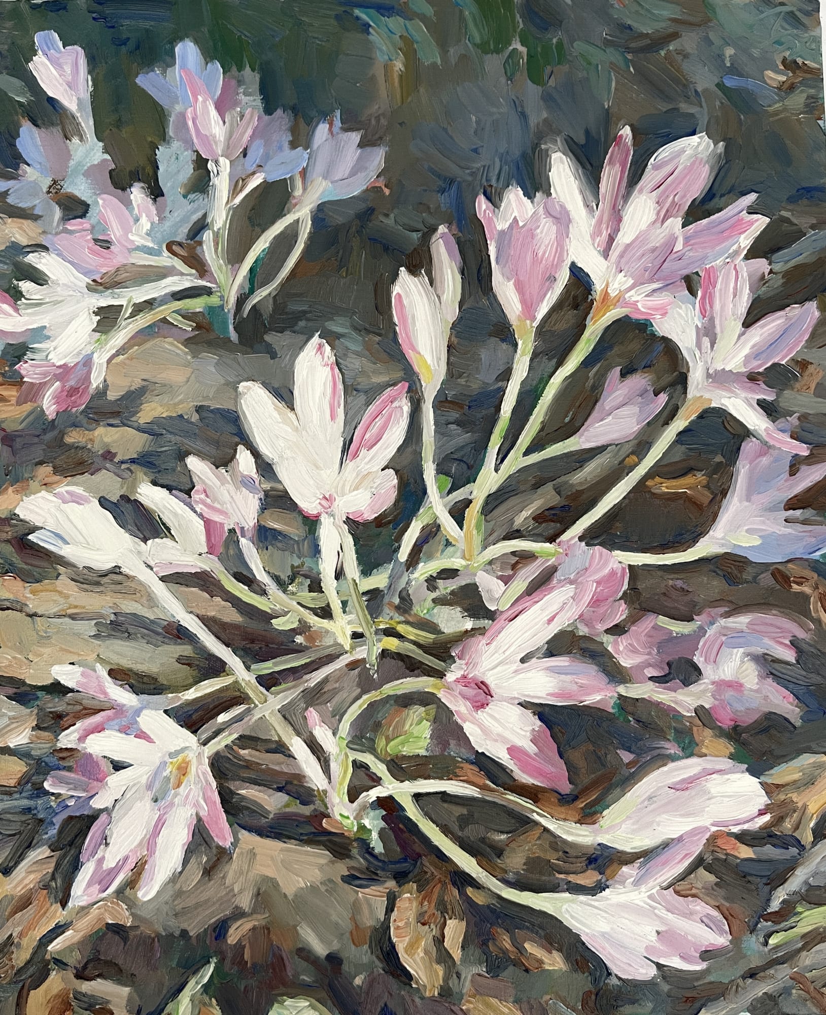 Jenia Demchenko Crocus flowers Oil on paper 50 x 40 x 3cm £360
