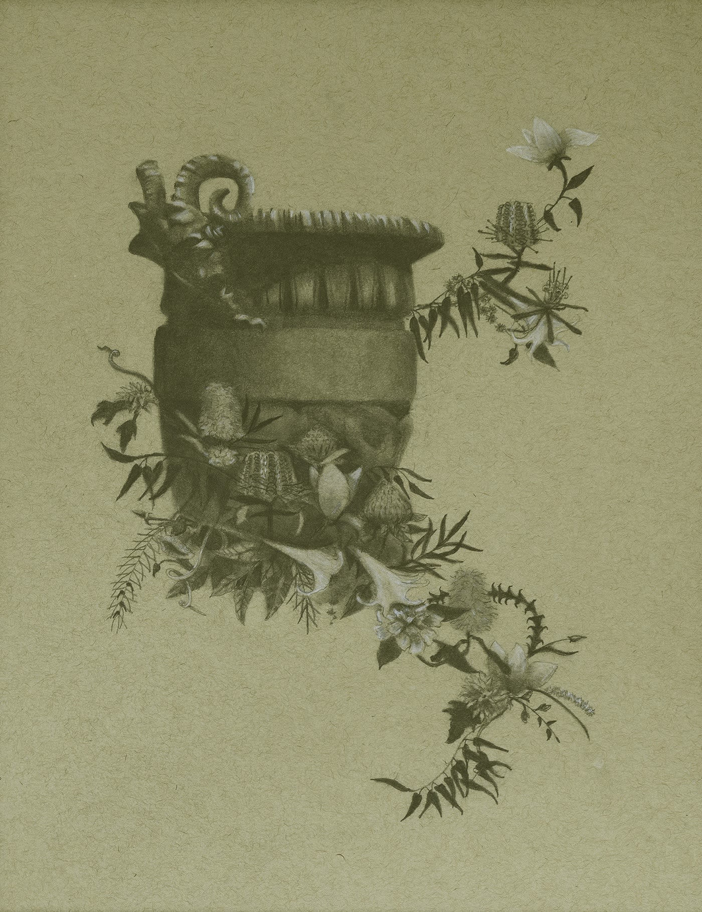 Jessica Holmes Urn on the lower parterre Pencil on paper 35cm x 28cm x 2cm £300