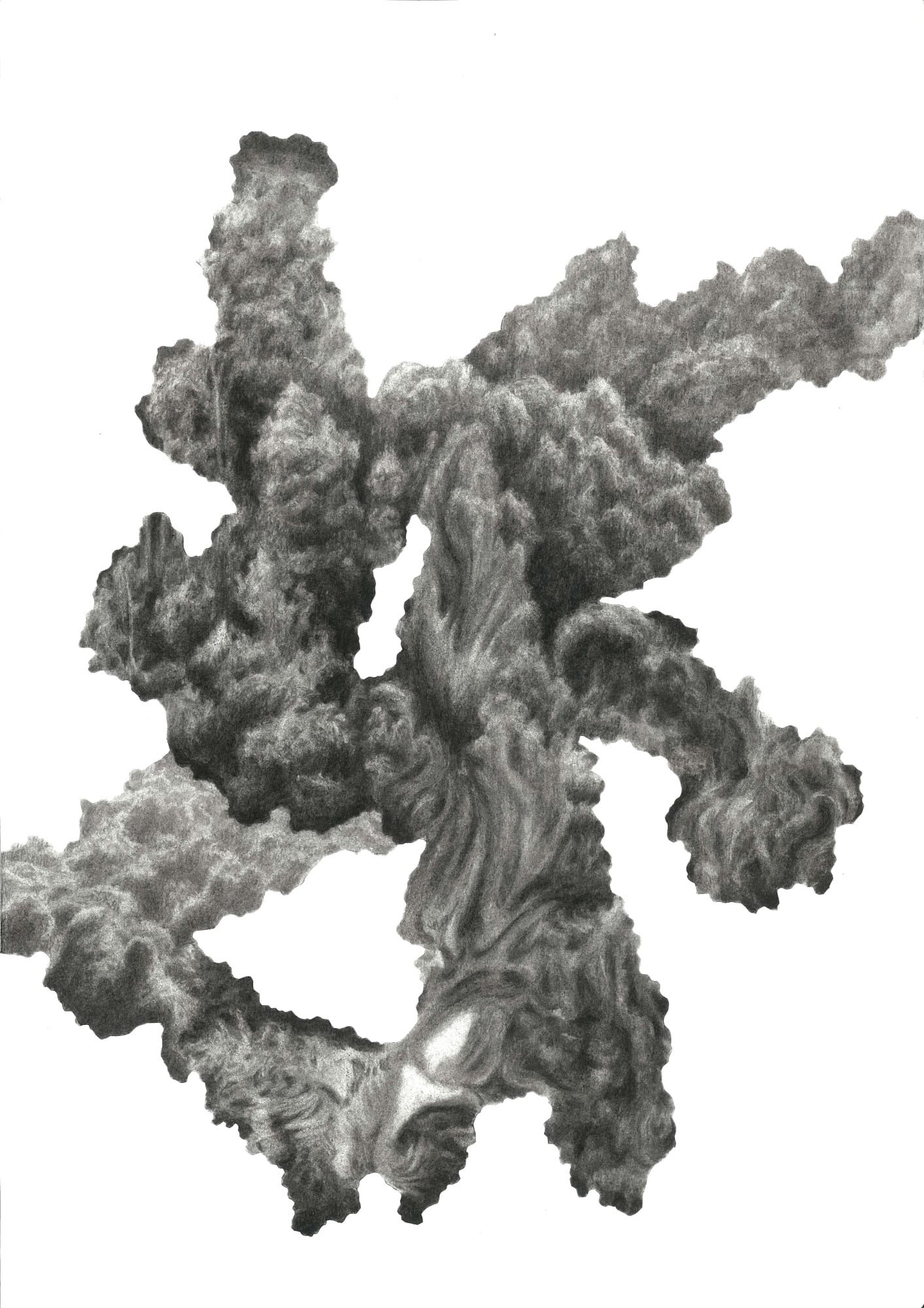 Jonathan Silverman Parallels - Absorption Charcoal on paper 60 x 40cm £2,350