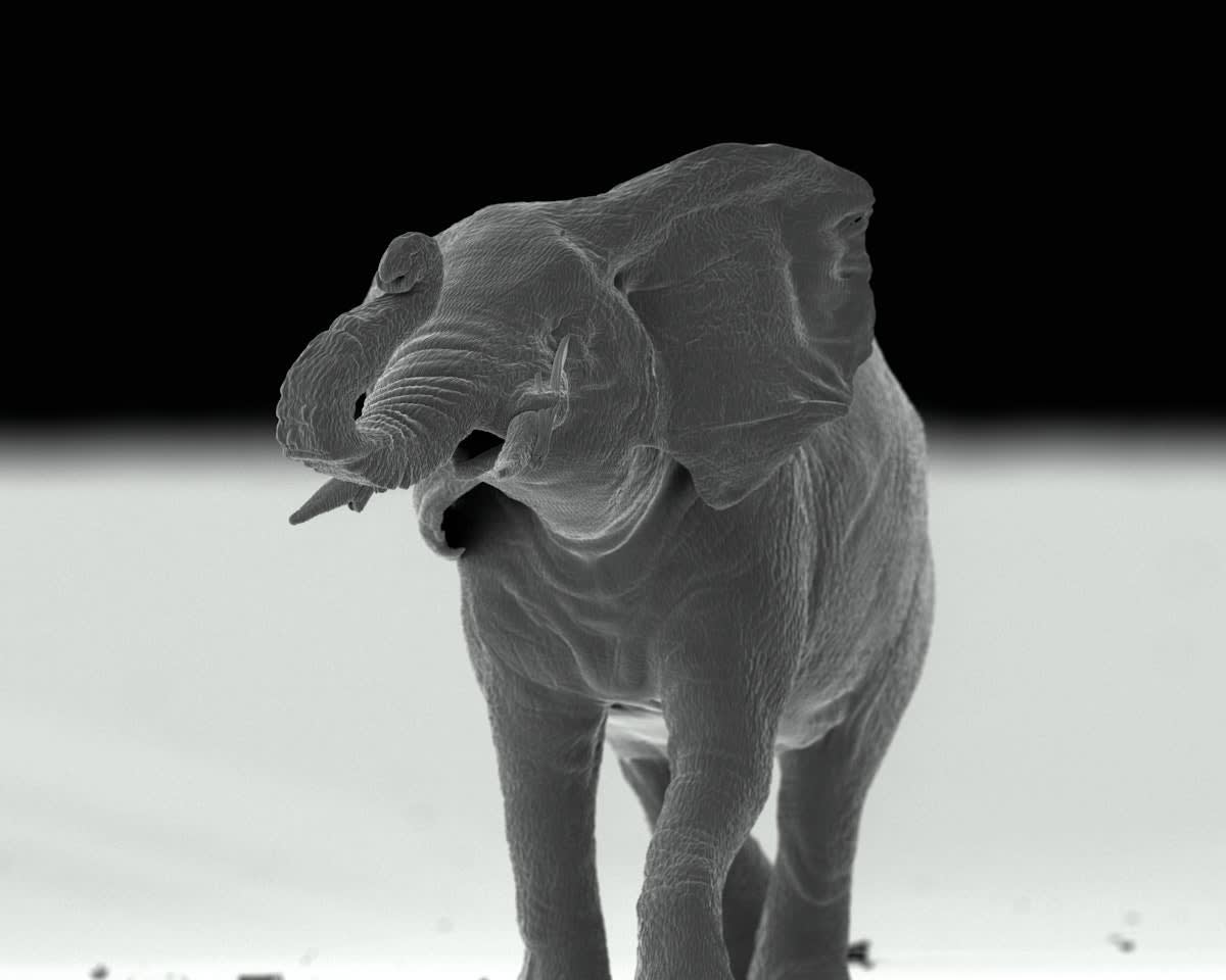 Title: Fragile Giant Artist: Jonty Hurwitz Date: 2015 Materials: Resin, fabricated with two-photon (nano) 3D printing Dimensions: 157,000 nanometres Edition Size: 1 Download in High-Res