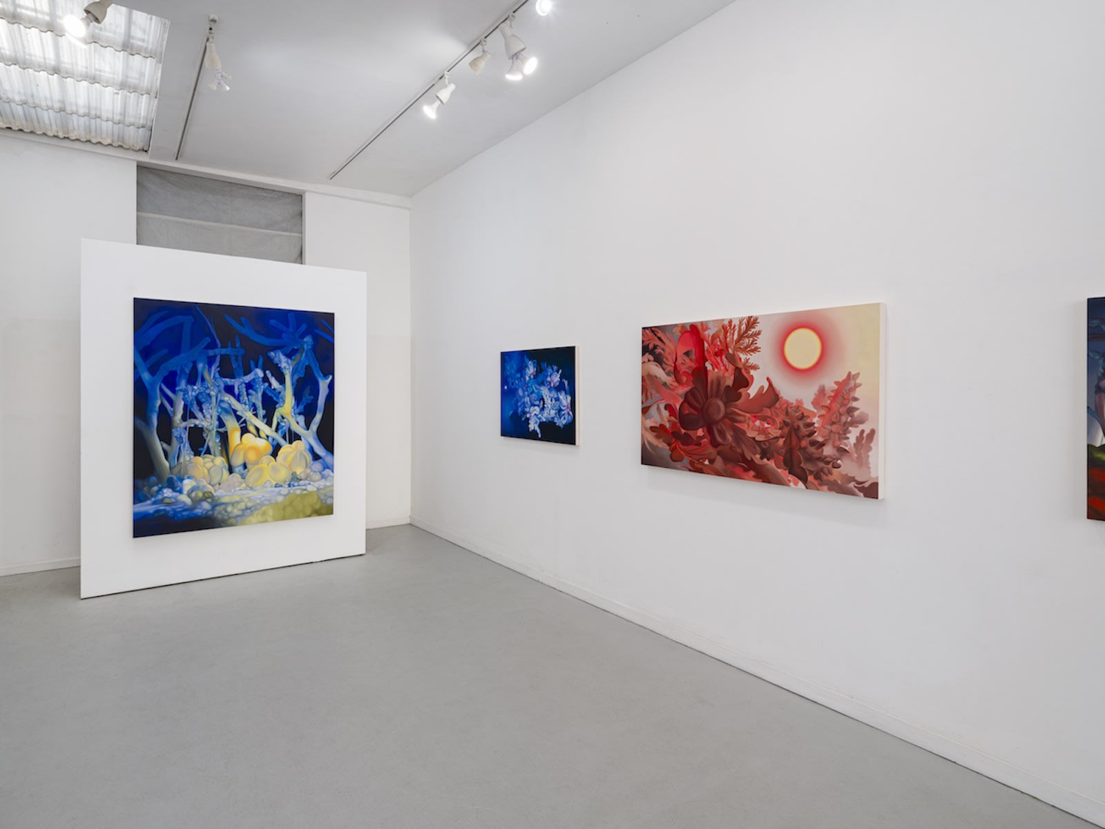 Hannah Antelek: Superseed