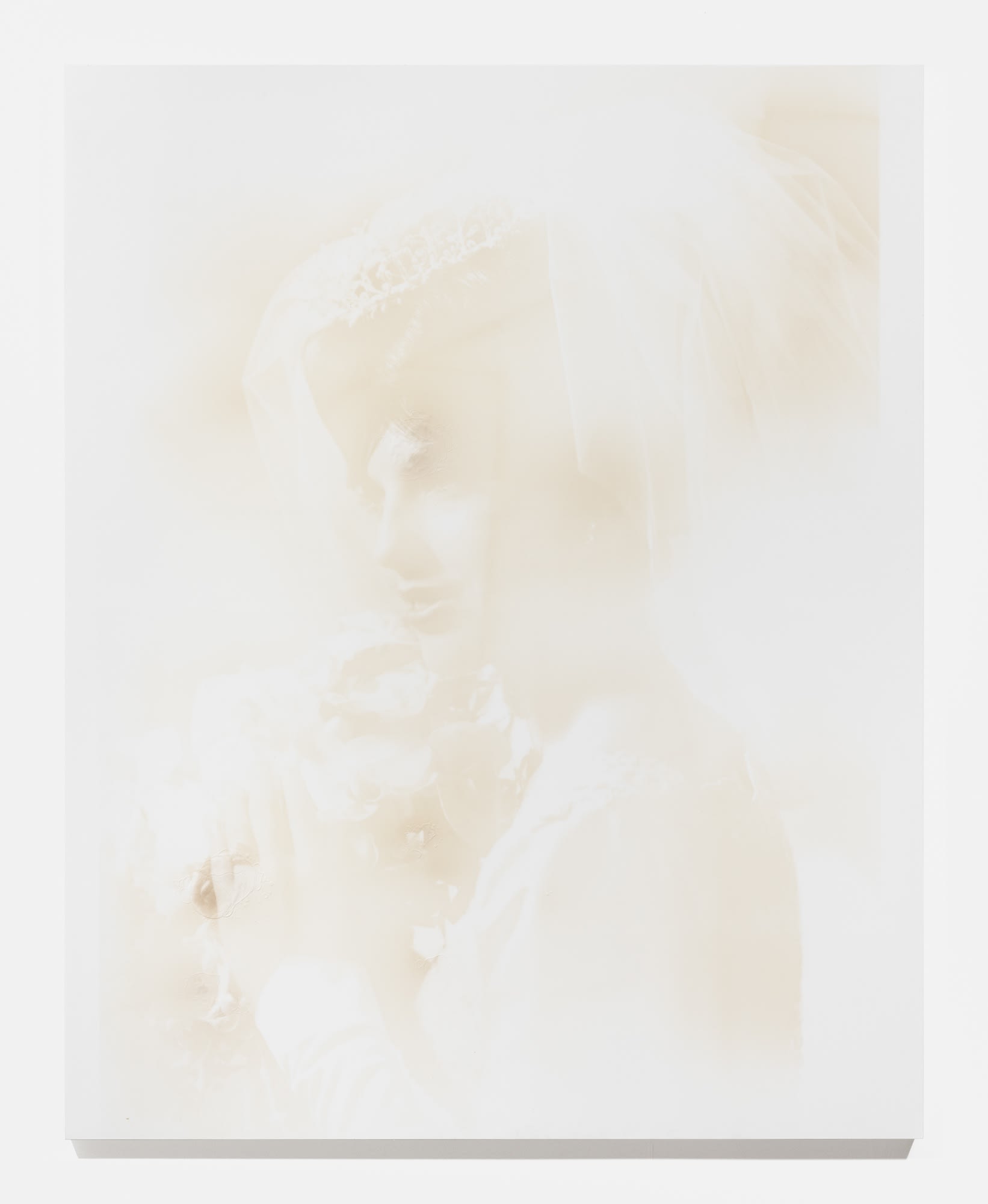 Nicotine Bride, 2019 Nicotine on panel 60 x 48 inches