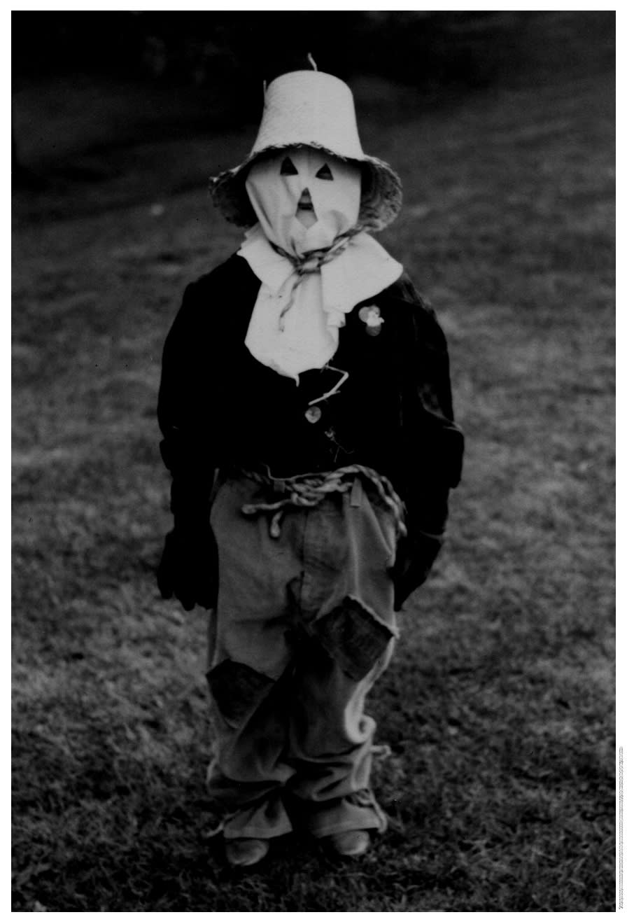 Scarecrow (self-portrait), 2012 C-print 76 x 52 inches