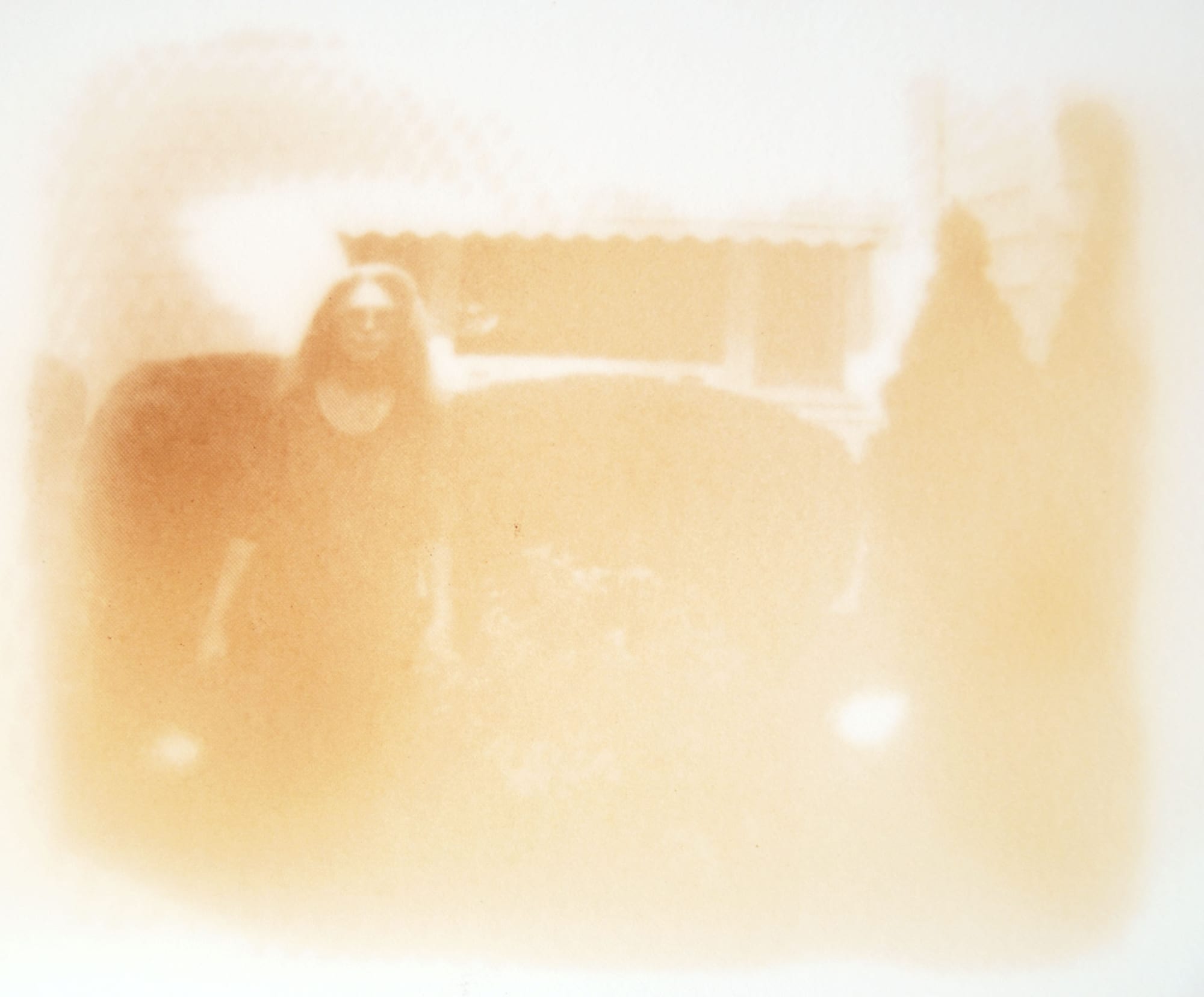 Sue, 2009 Nicotine on paper 20 x 16 inches