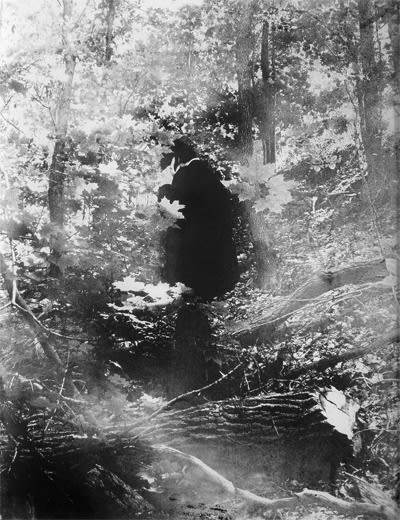 Narcissus (Dream Narcissus), 2008 Powdered graphite on paper 24 x 18 inches