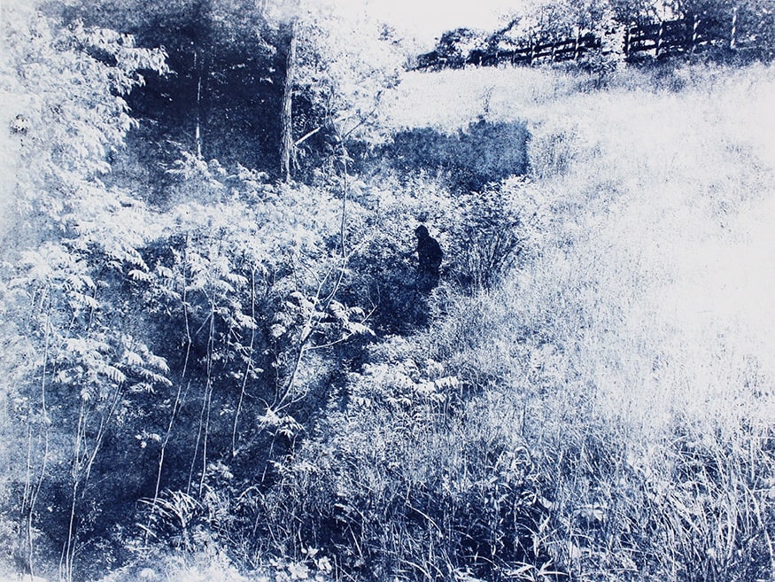 BLUE (SWALLOWS), 2019 Powdered pigment on paper 11 x 15 inches