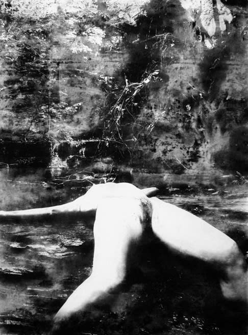 Étant donnés 2° (Untitled), 2011 Powdered graphite on paper 66 x 50 inches
