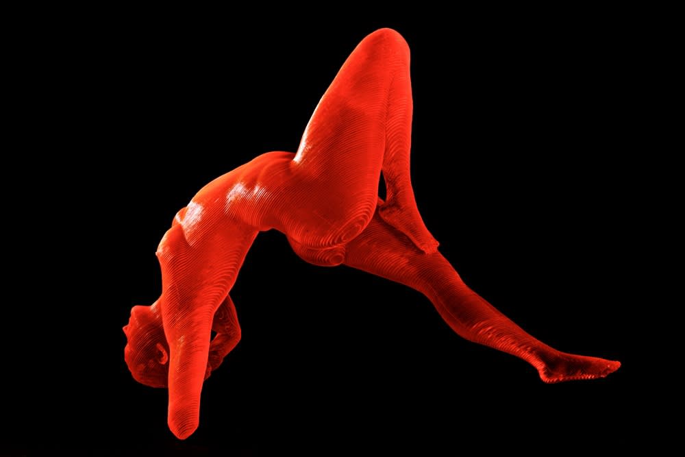 OLIVIER DUHAMEL