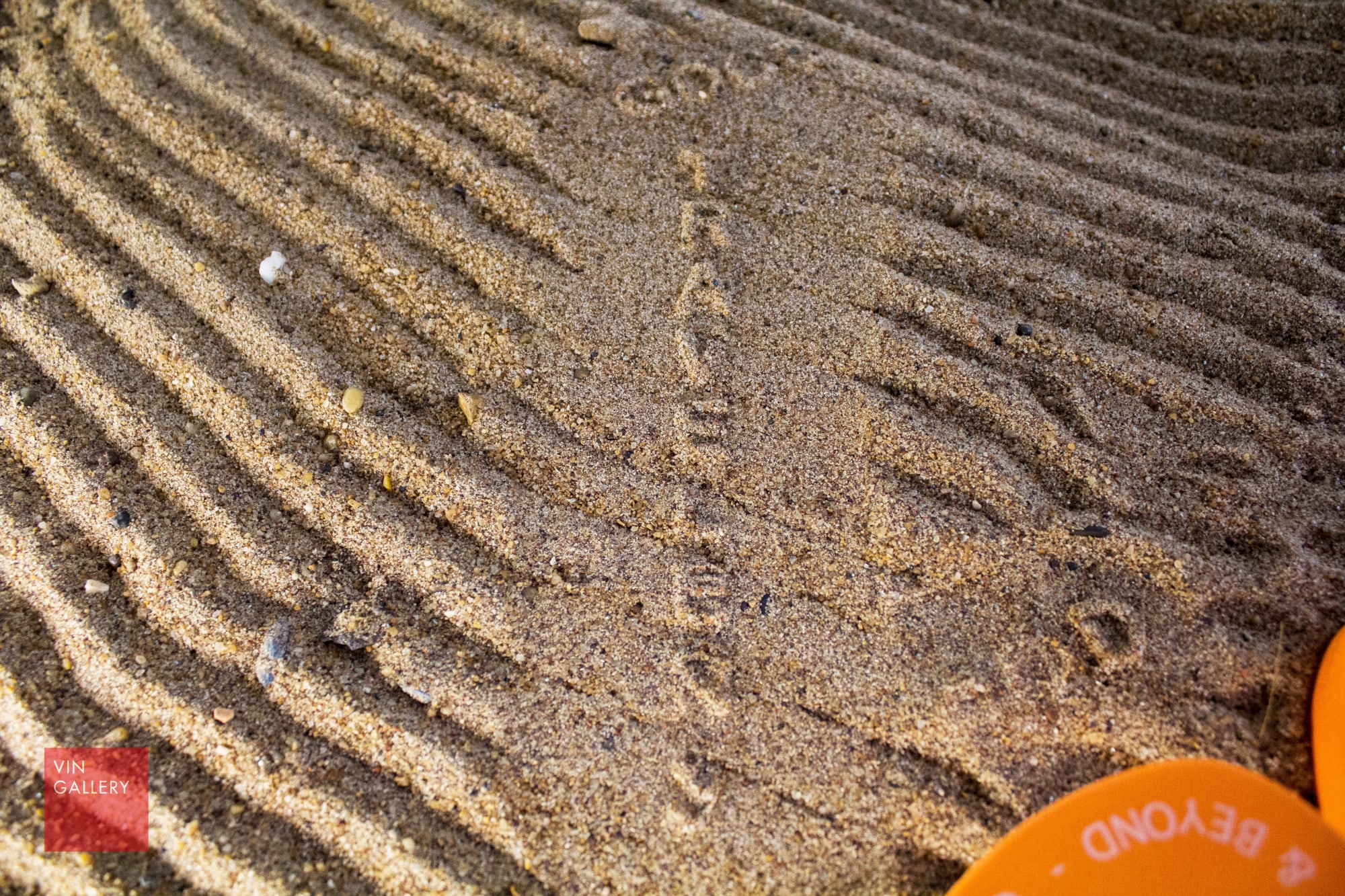 XEM Meta-10th Anniversary Saigon Tour