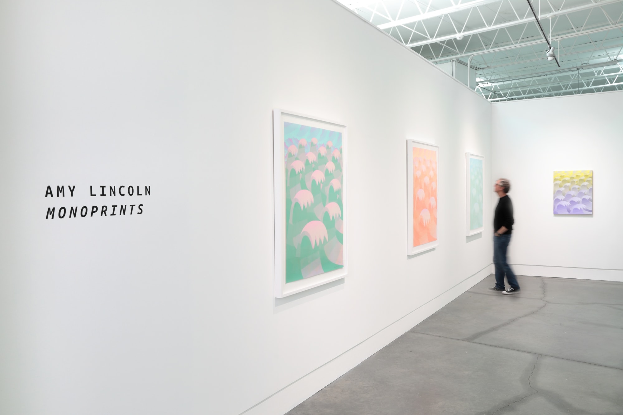 Amy Lincoln: Monoprints