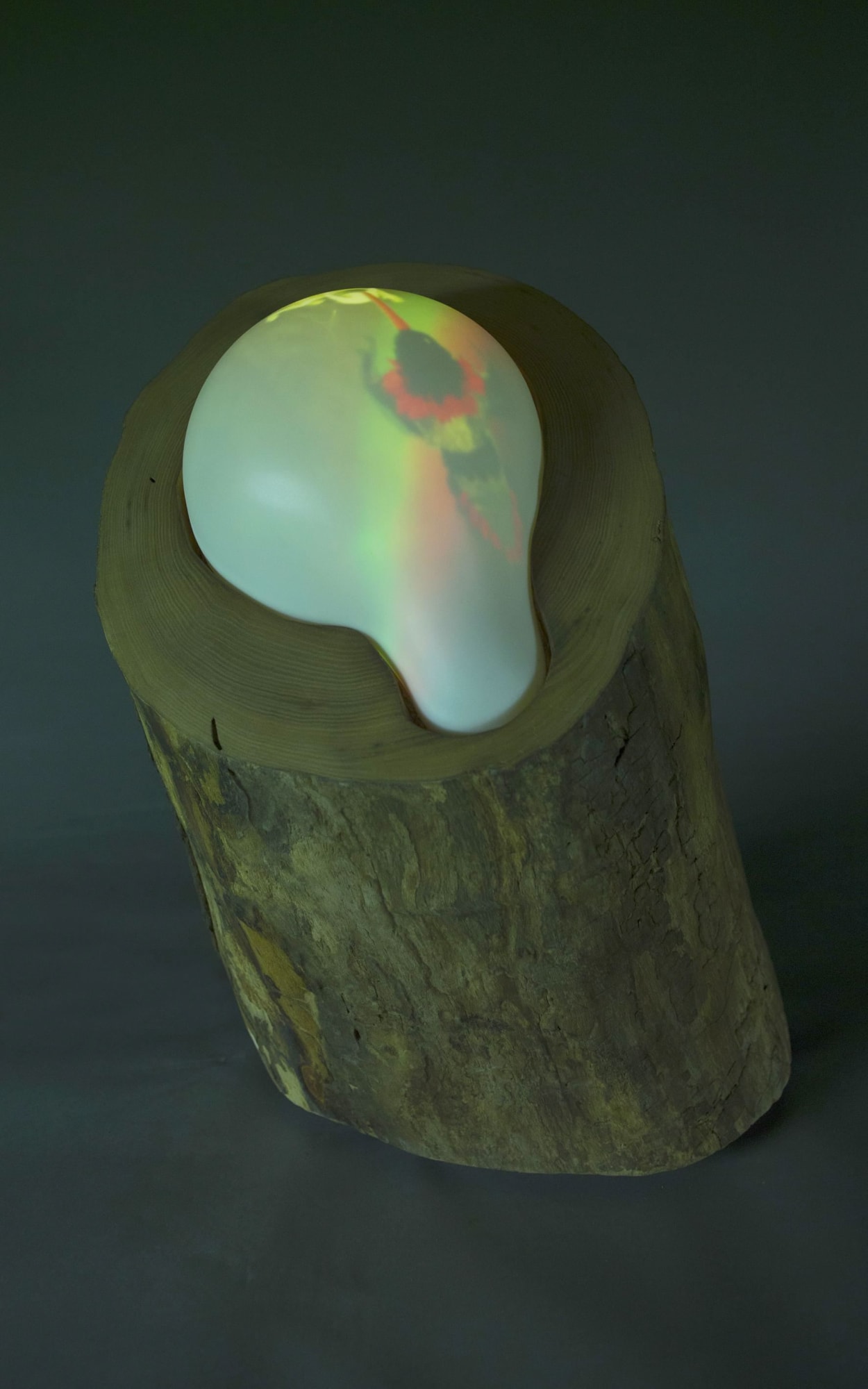 Gray Elm Tree stump with 1 video-bubble 1-Channel video composition with sound, 7:20min, looped Video projectors embedded found tree stump on/off switch and sound control