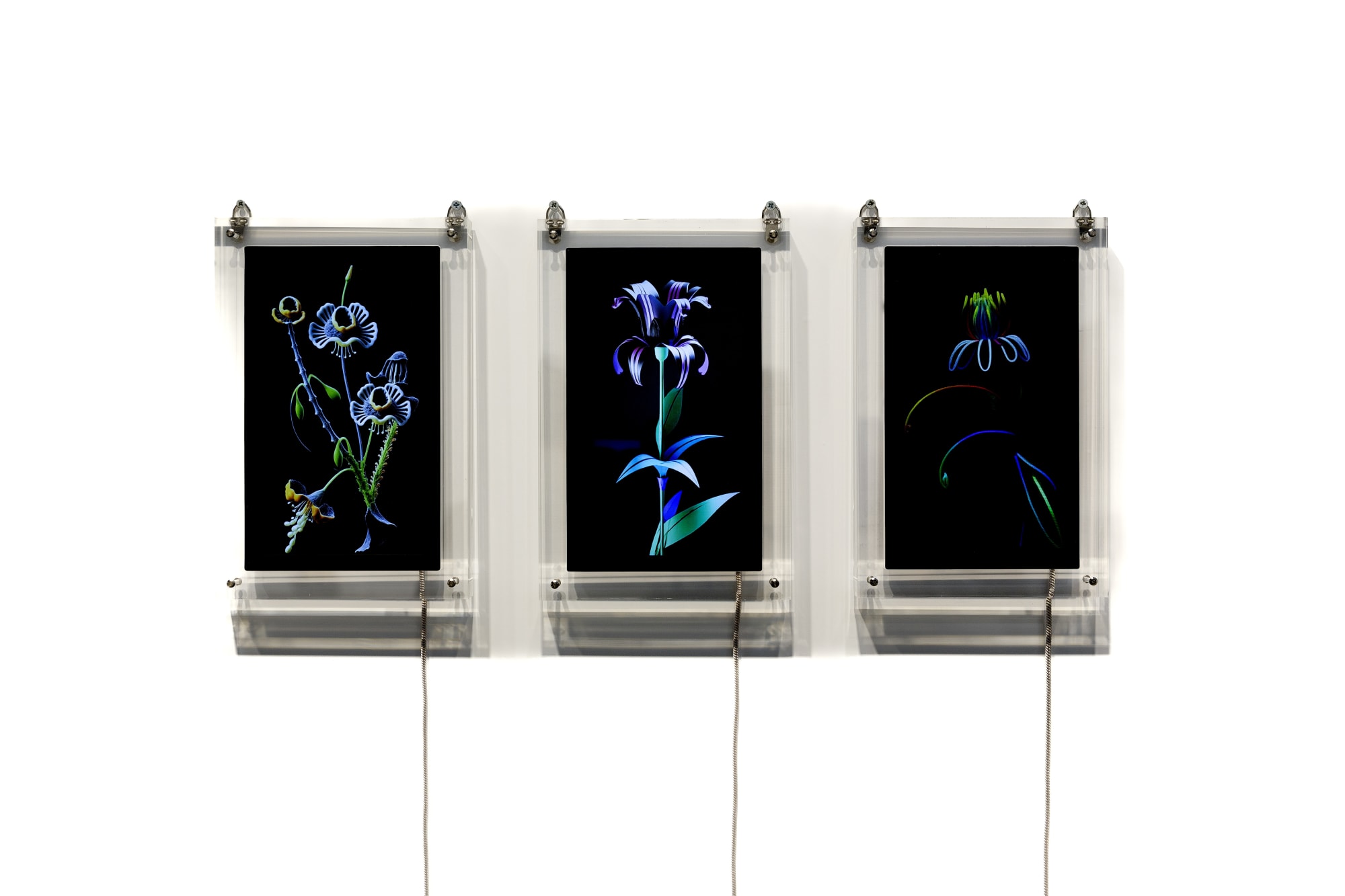 Algorithmically controlled video sculpture (17 min.)