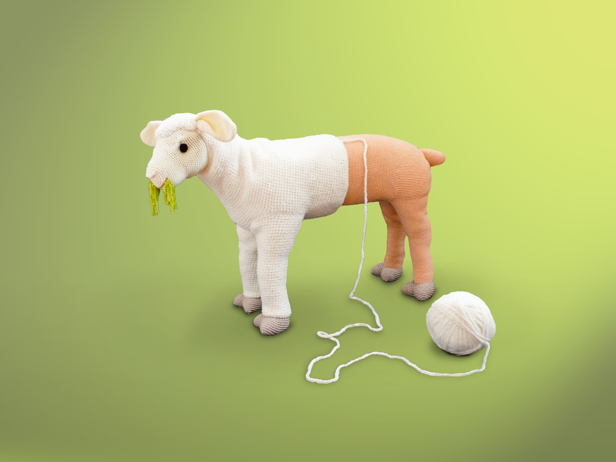 Acrylic yarn, cotton filling, wire; crochet