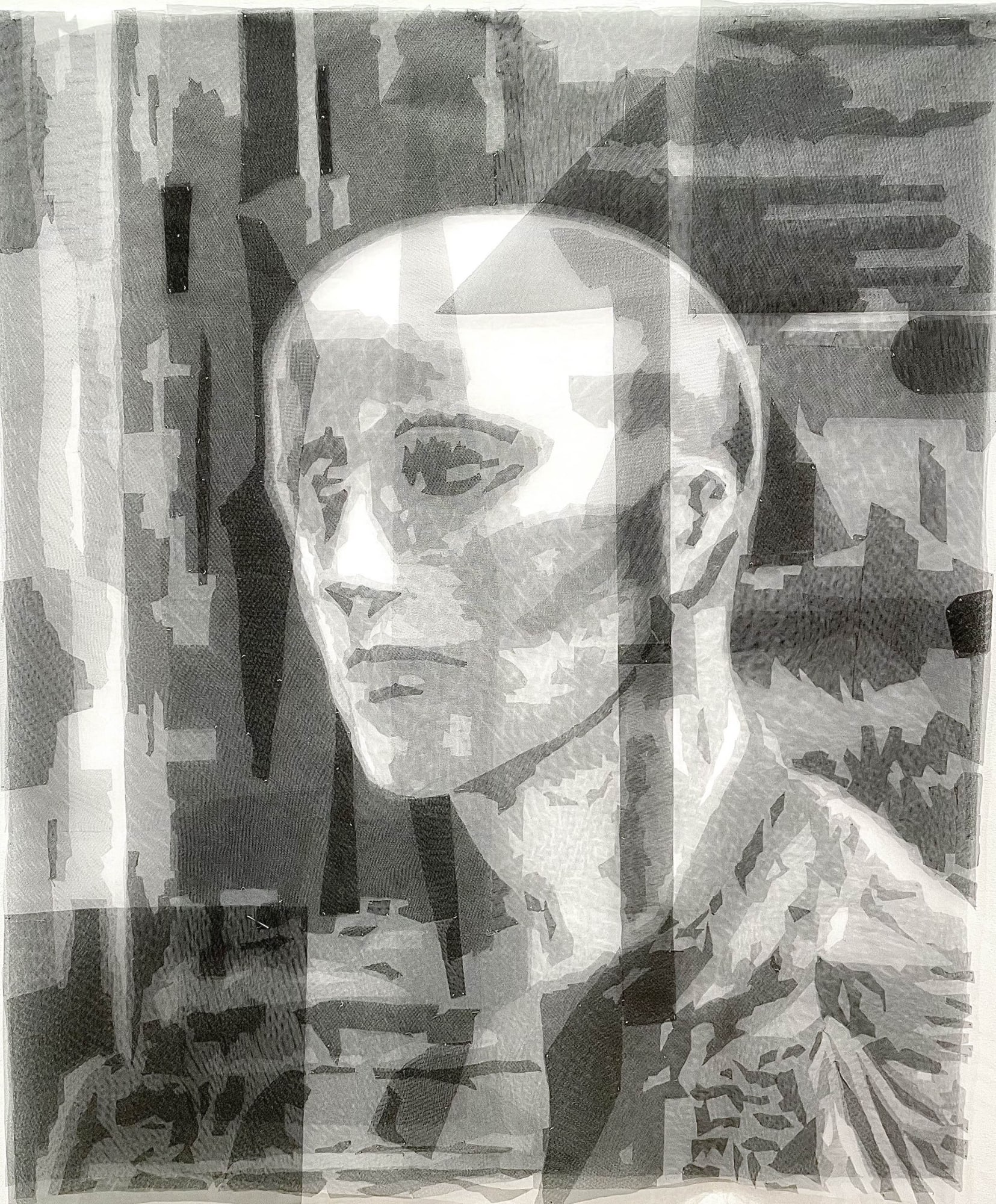 Grey Gaze 2, 2022 Tulle