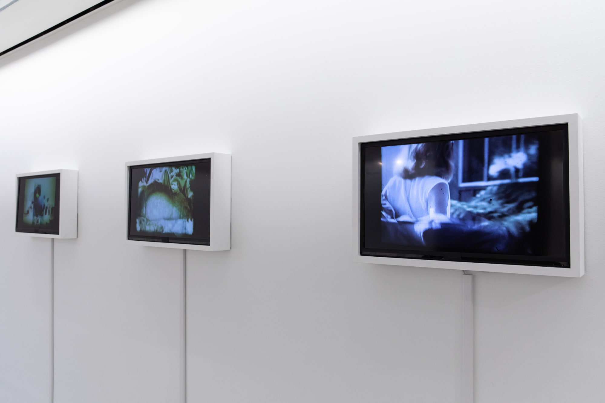 You belong here installation