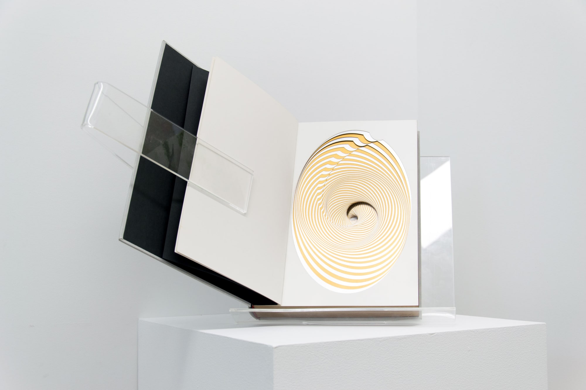 Library Sculpture, 2018 100 pages, metallic paint on 250 gr bristol paper cut-out