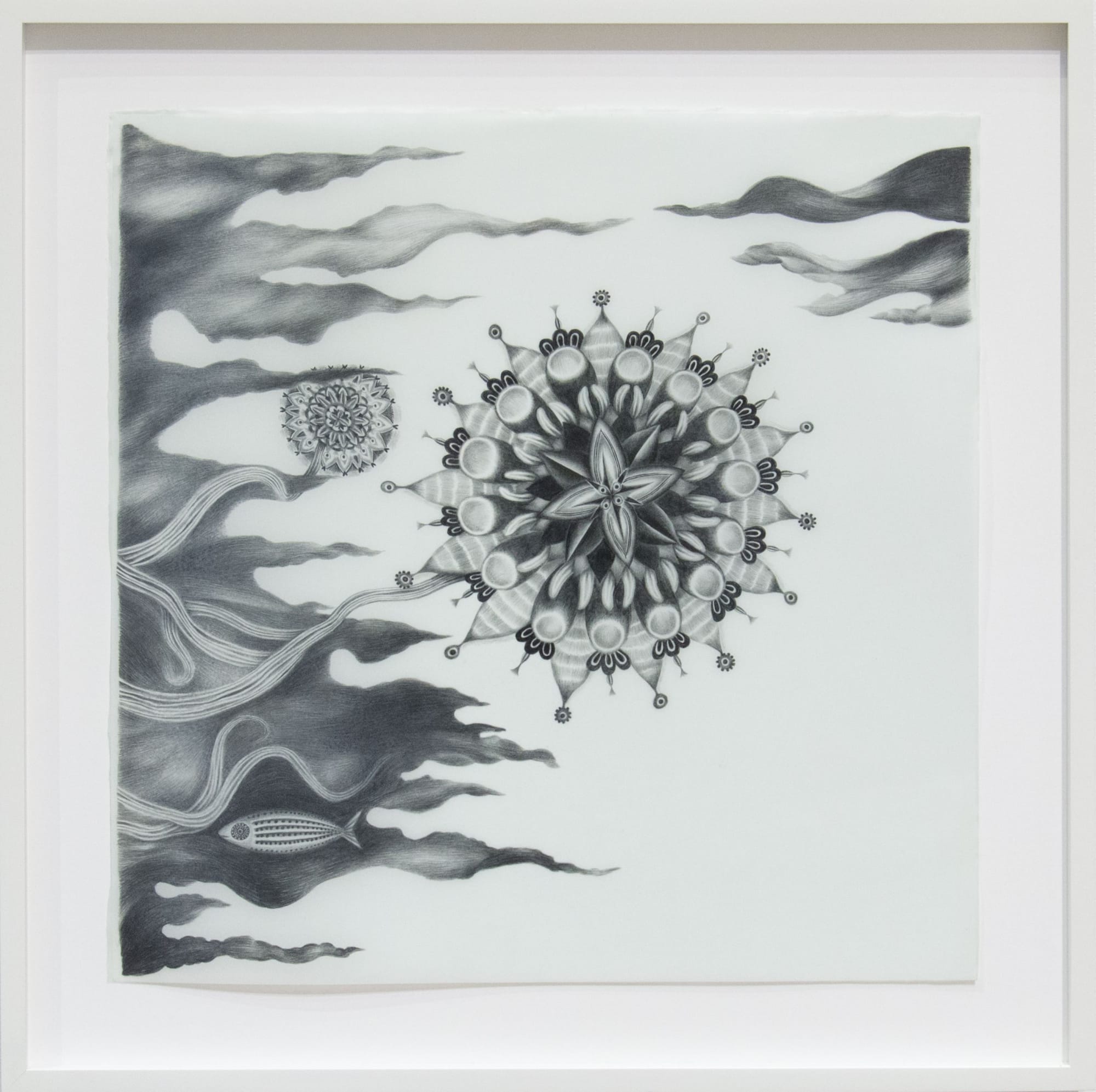Night Drawings - Stars, 2013 Graphite on Mylar