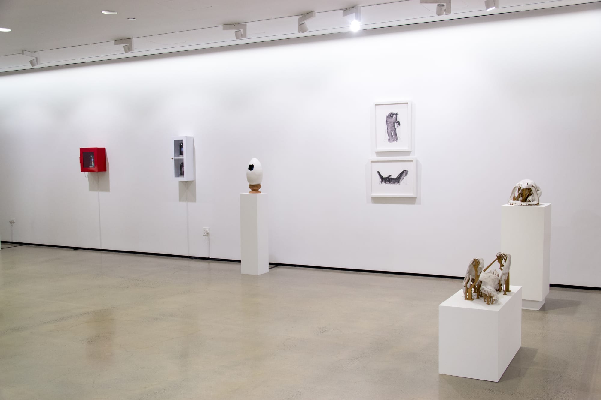 Transfigured installation