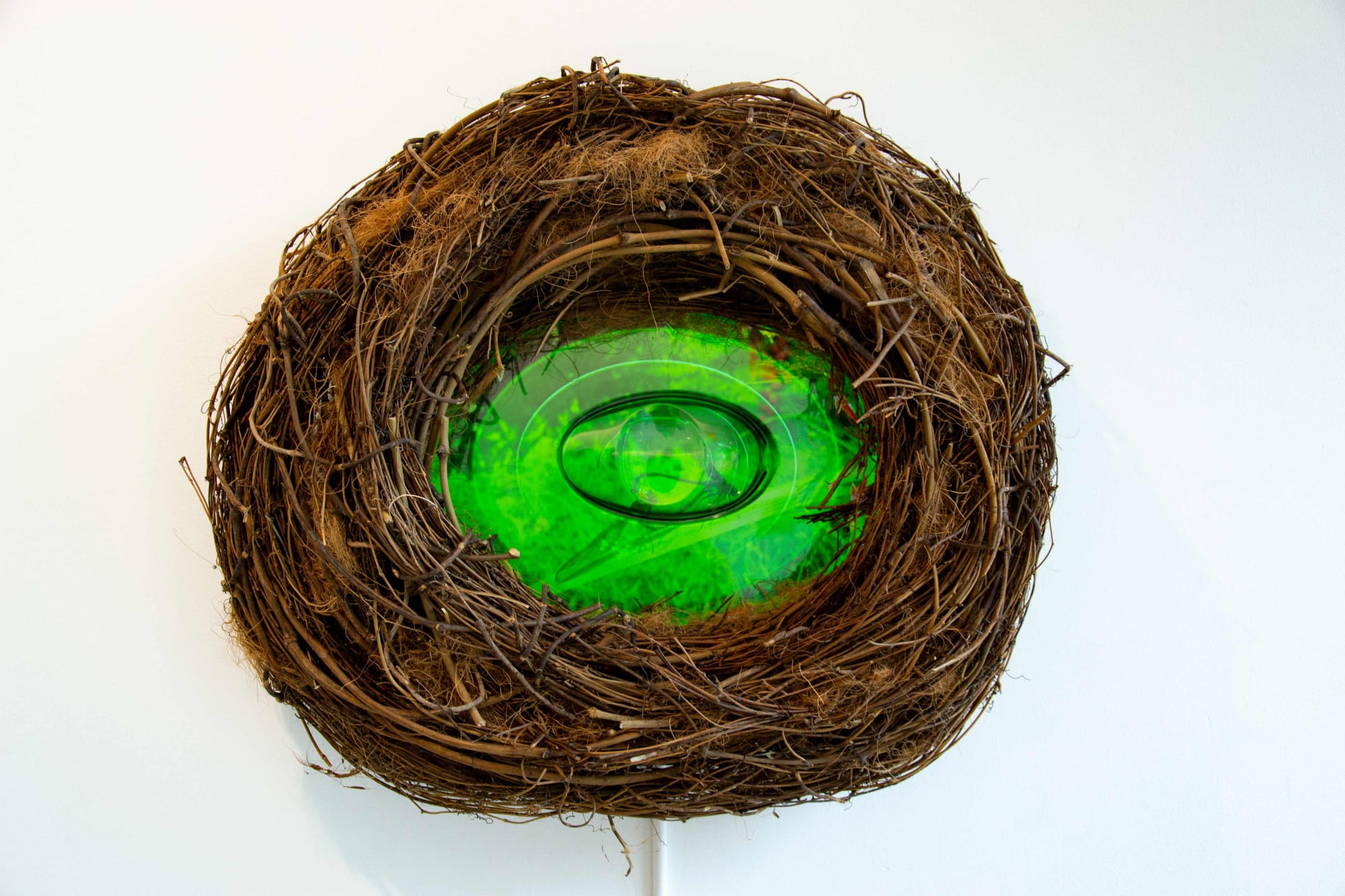 Will the green hearts turn red when they find a home?, 2018 Single-channel video with sound, 7:20 minutes, looped Video screen embedded in a bird's nest, hand-blown glass egg