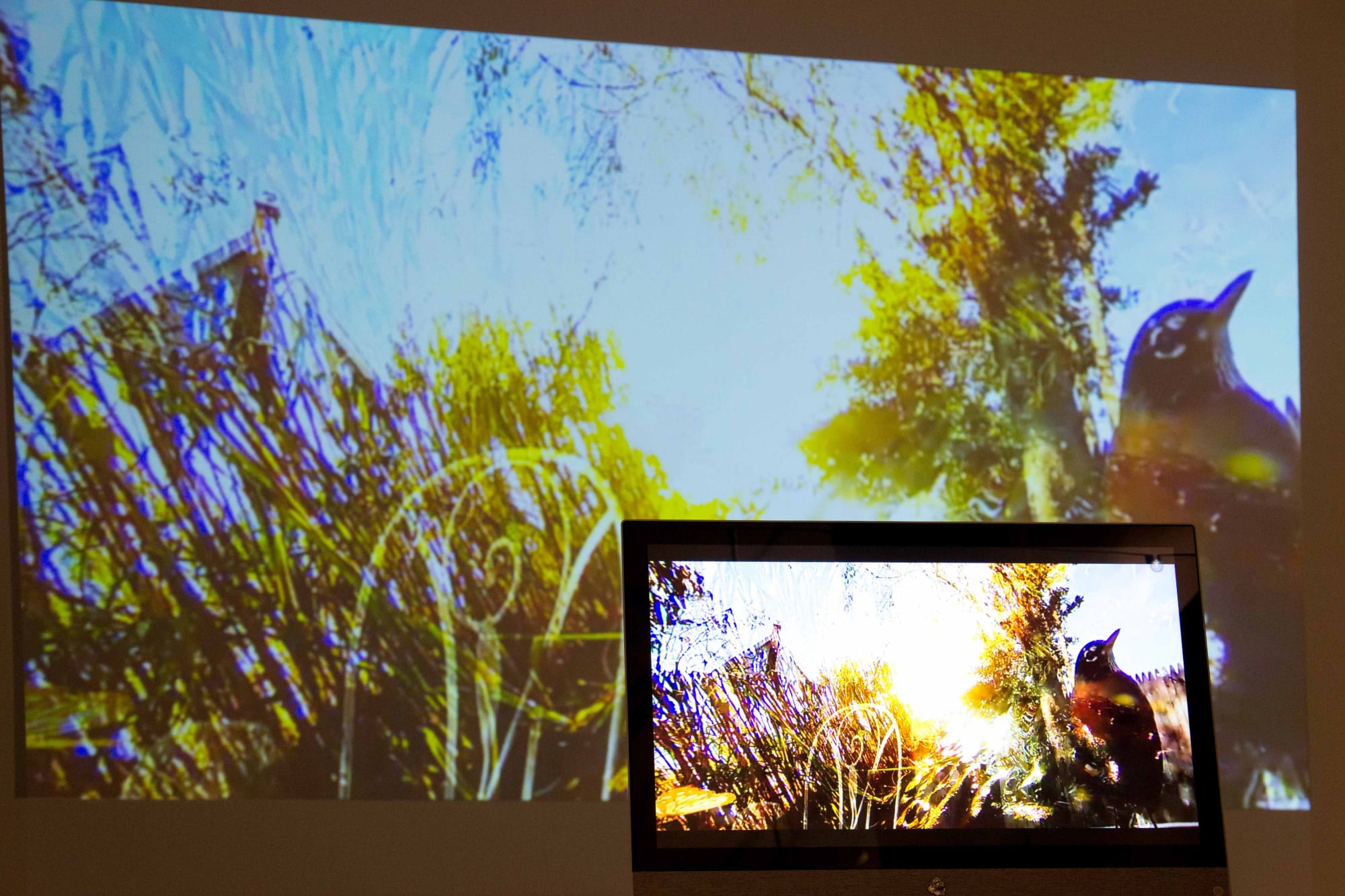 Imitating Nature Without Pity, 2018 360 degree spherical video collage, touch screen