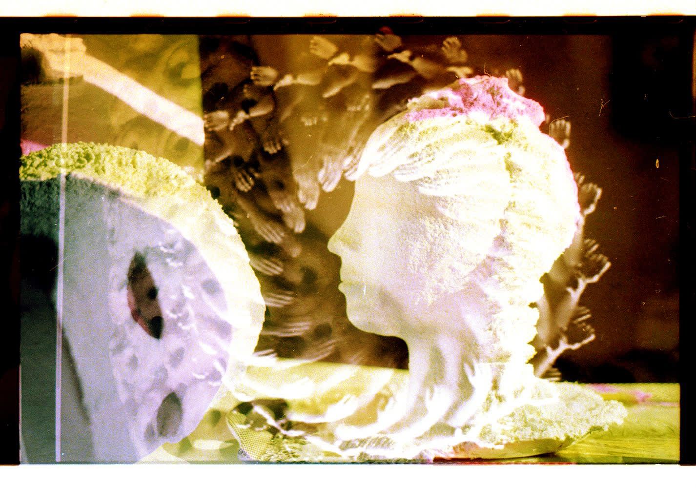 Humanity is a waste of time, 2017 Archival inkjet prints from 35 mm color negatives