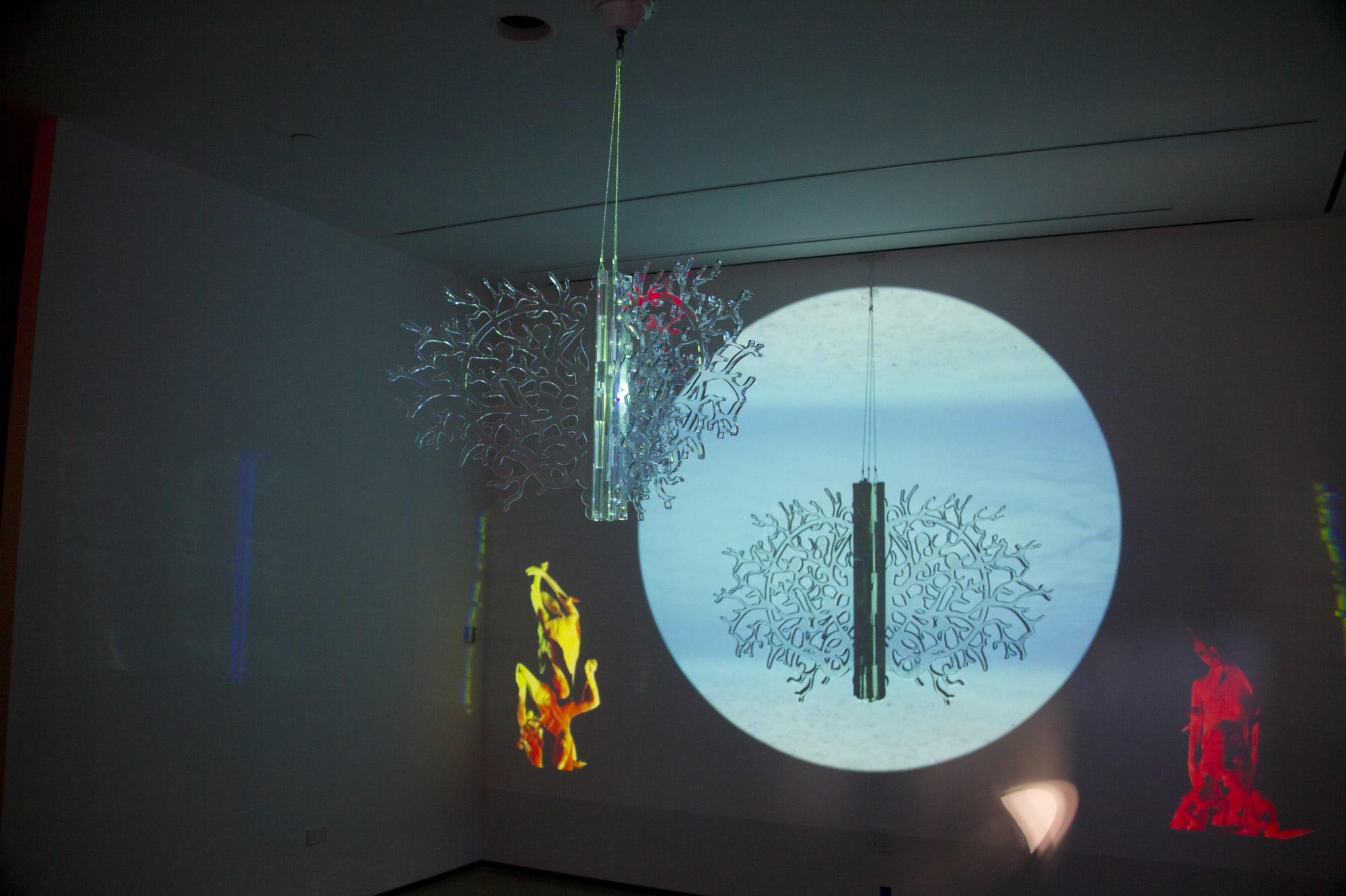 Vuela Vuela installation