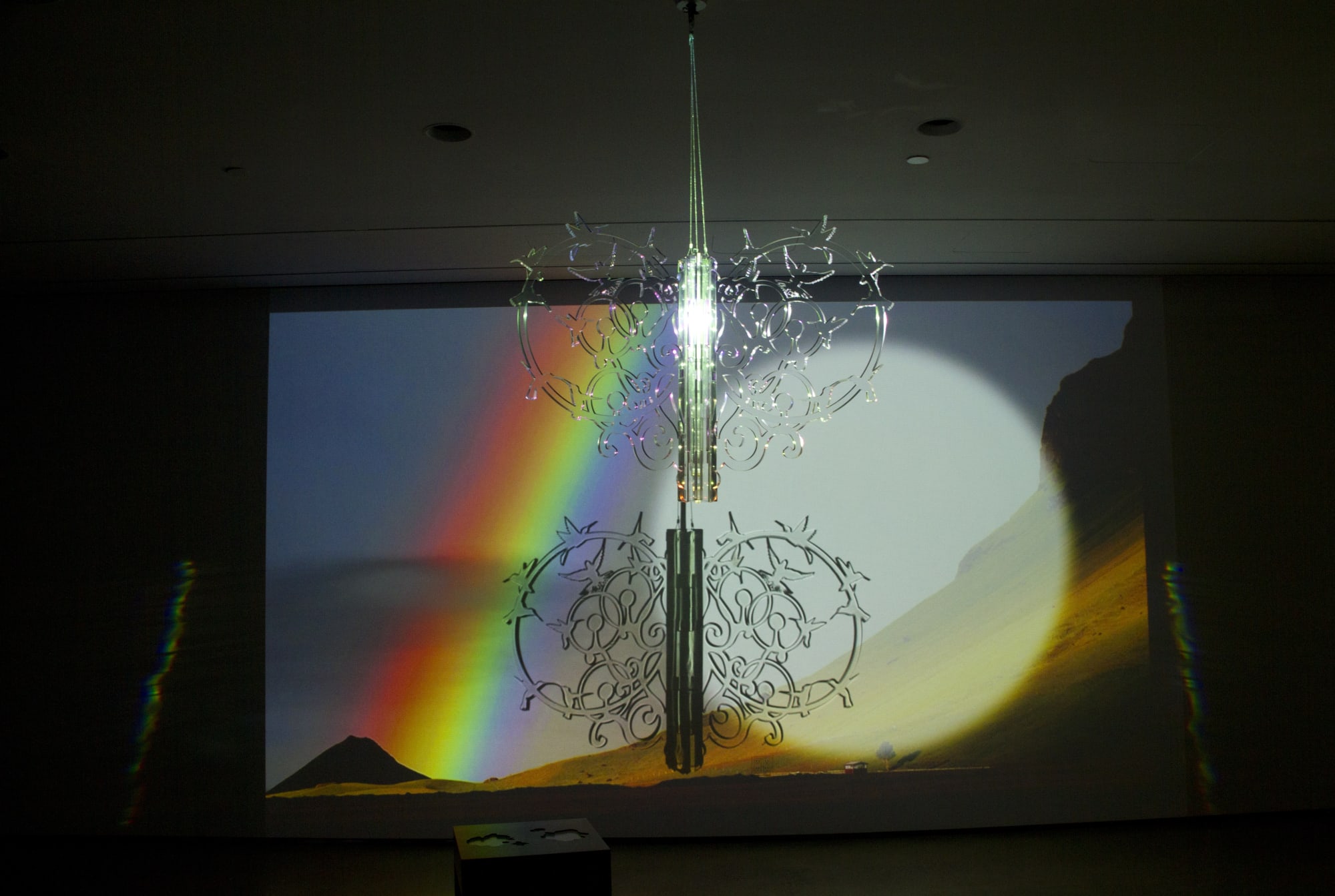 Vuela Vuela installation