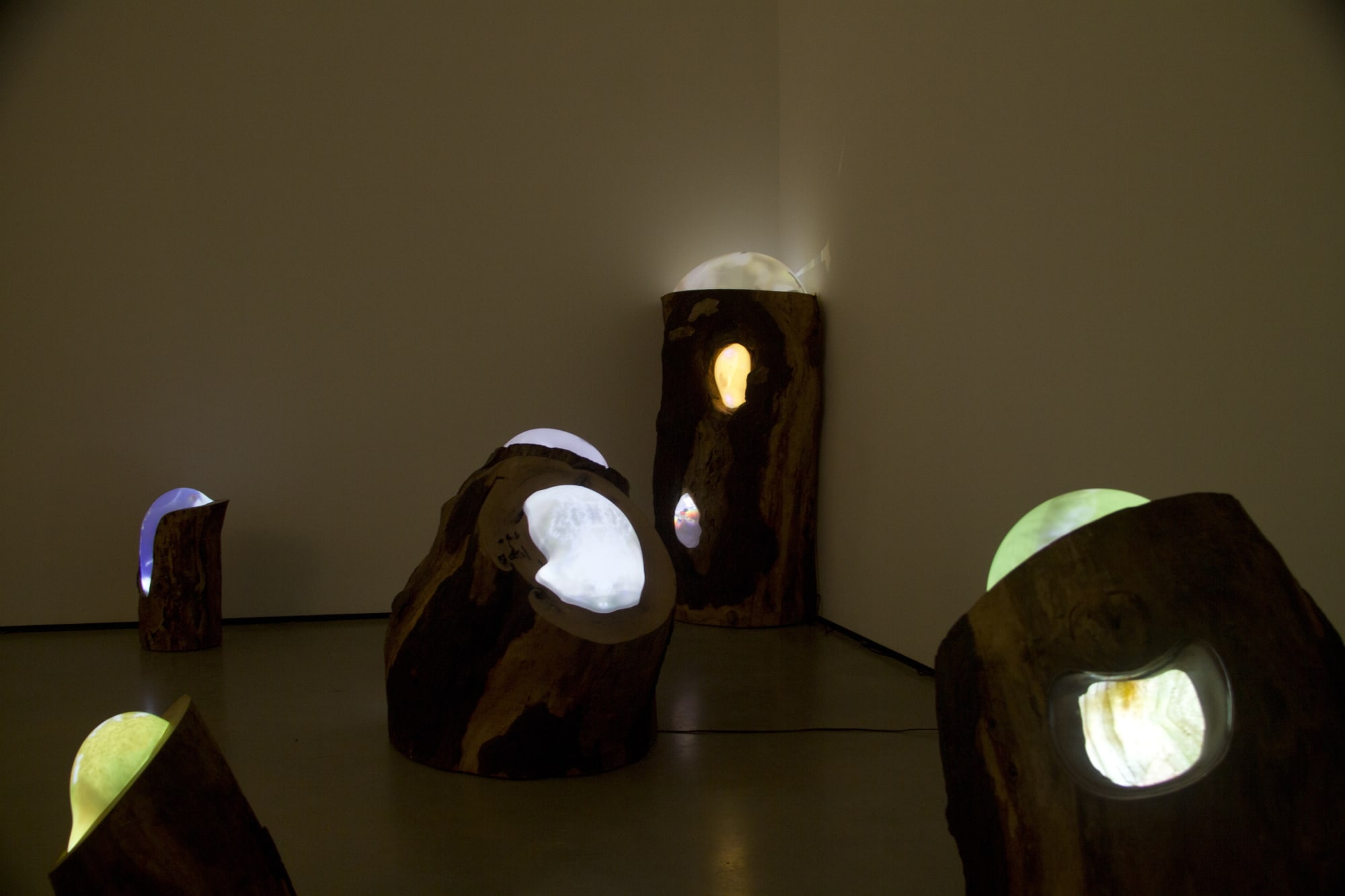 Vuela Vuela installation