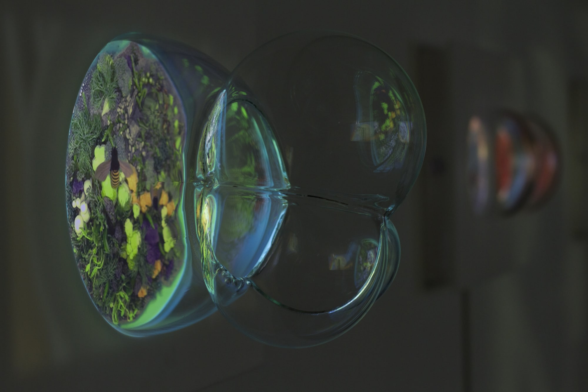 Vuela Vuela installation