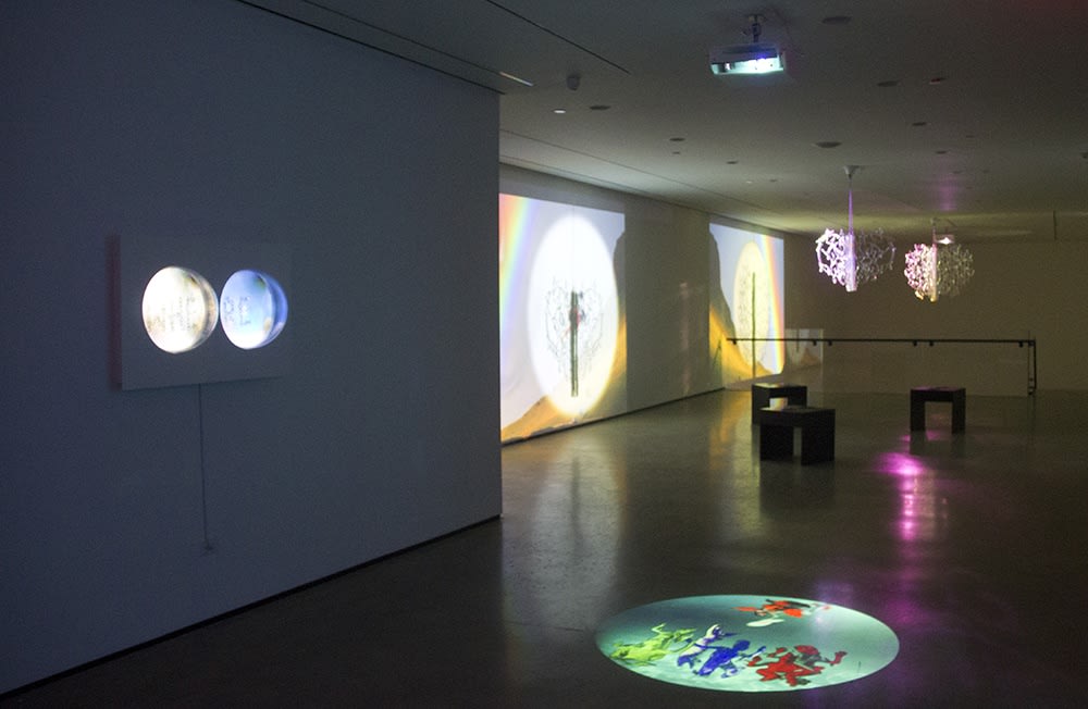 Vuela Vuela installation