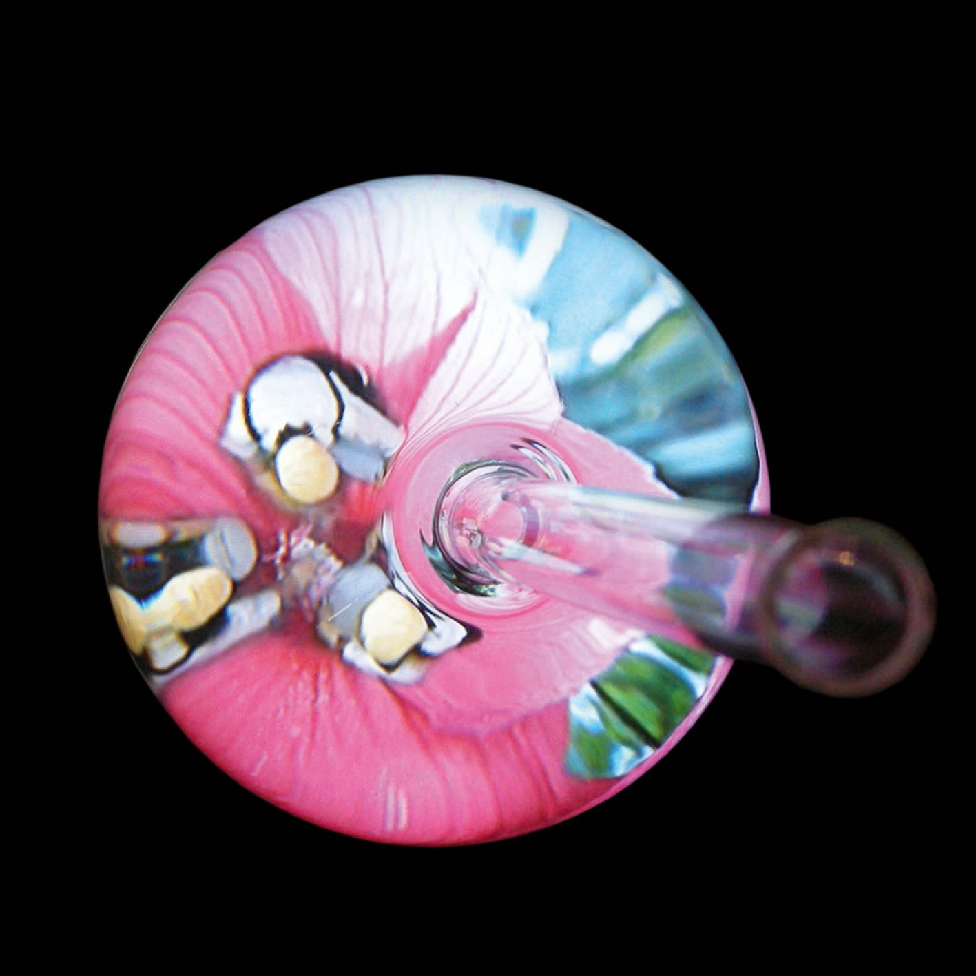 Why did the bees leave?, 2009 Video screen embedded in a black acrylic pedestal, vase filled with liquid,1:11 minutes, looped