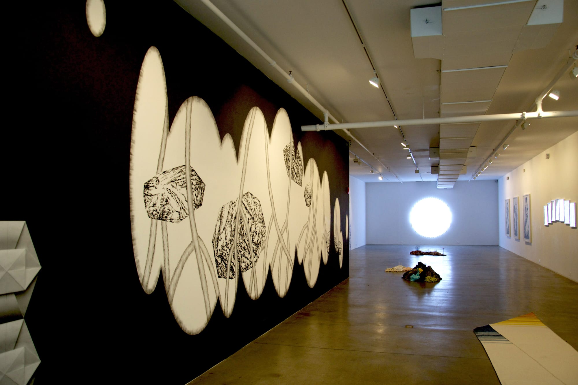 Becoming: Worlds in Flux installation