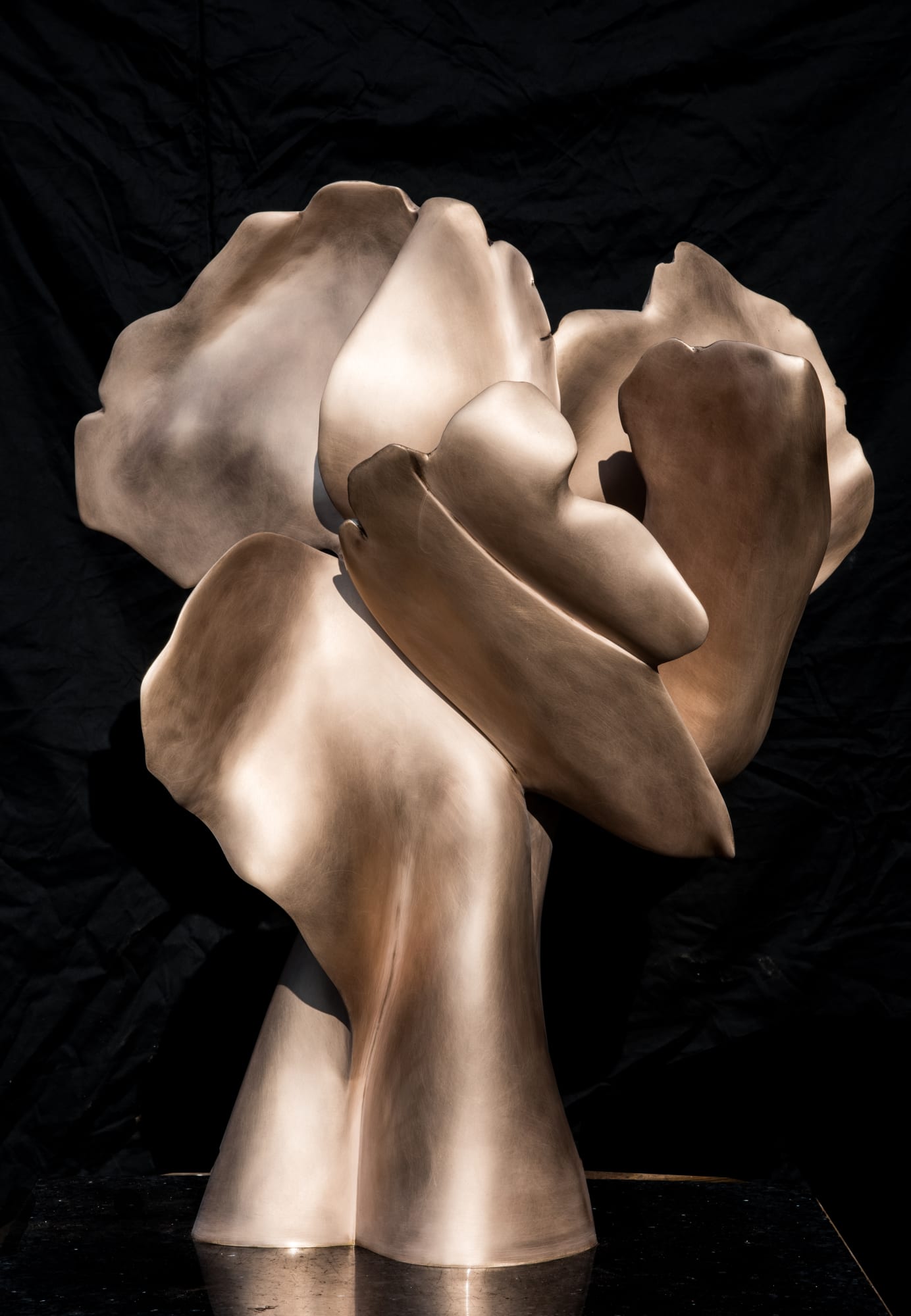 Helaine Blumenfeld