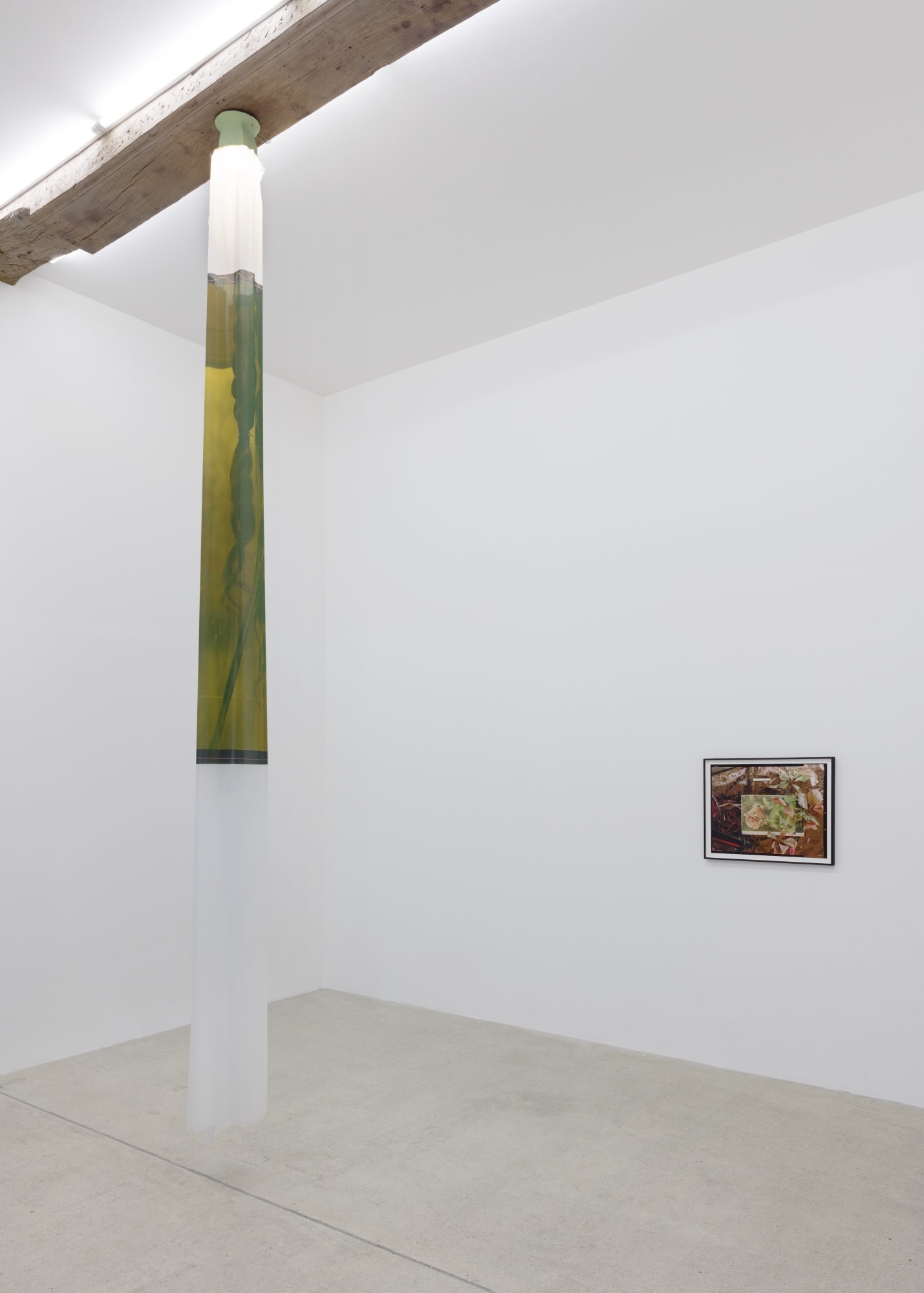 Ketuta Alexi-Meskhishvili