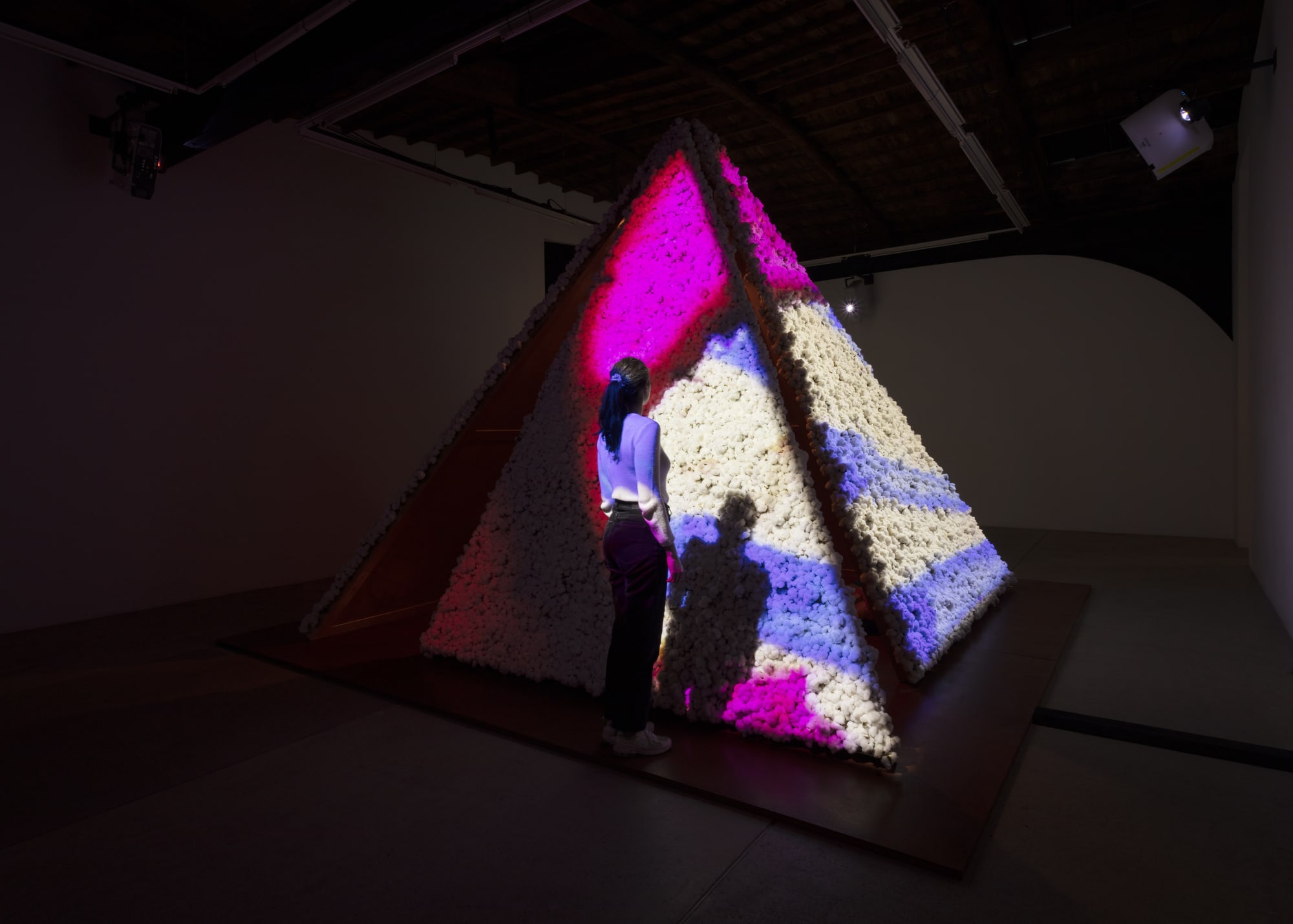 partus/chorus curated by Ja'Tovia Gary