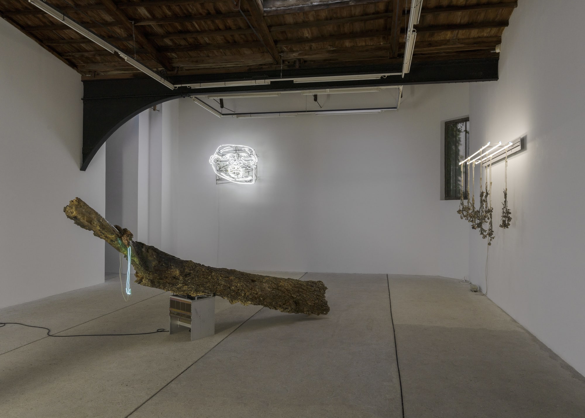 Chloé Delarue: TAFAA – OBSCENE TEARS