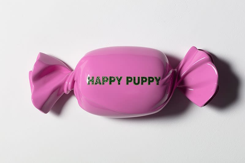 HAPPY PUPPY polycarbonate, mixed media 40 x 13 x 10cm 2021