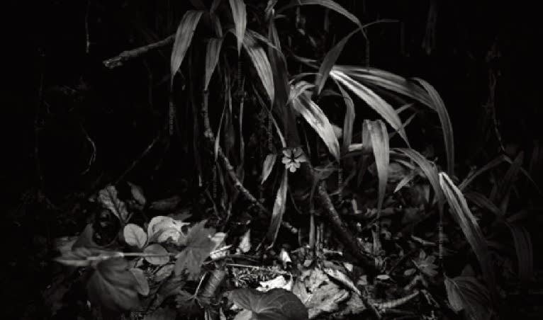 YOOK KEUNBYUNG The sound of landscape=Site energy c-print b&w 94.5 x 160cm 2010 ed 1/5